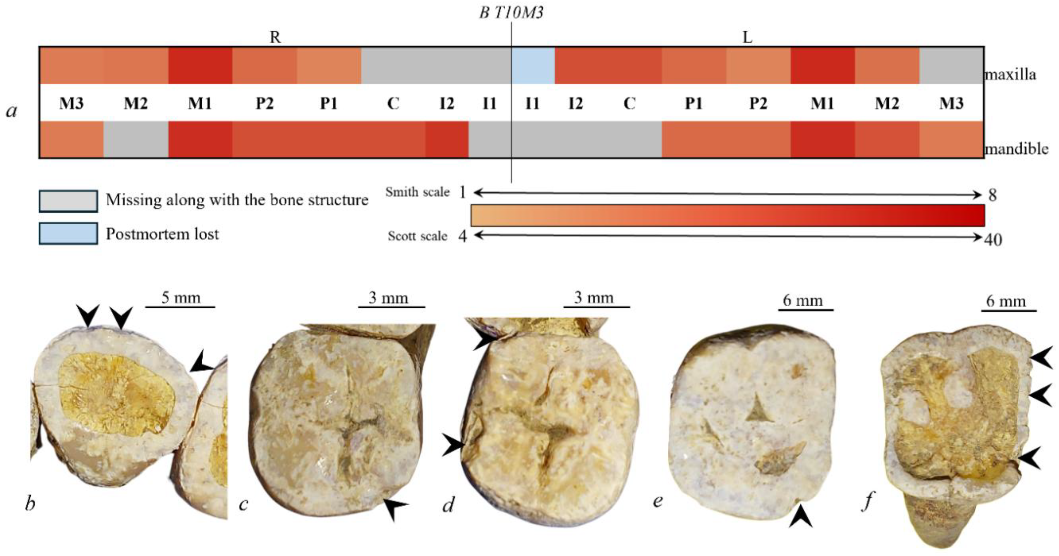 Quaternary 09 00035 g009