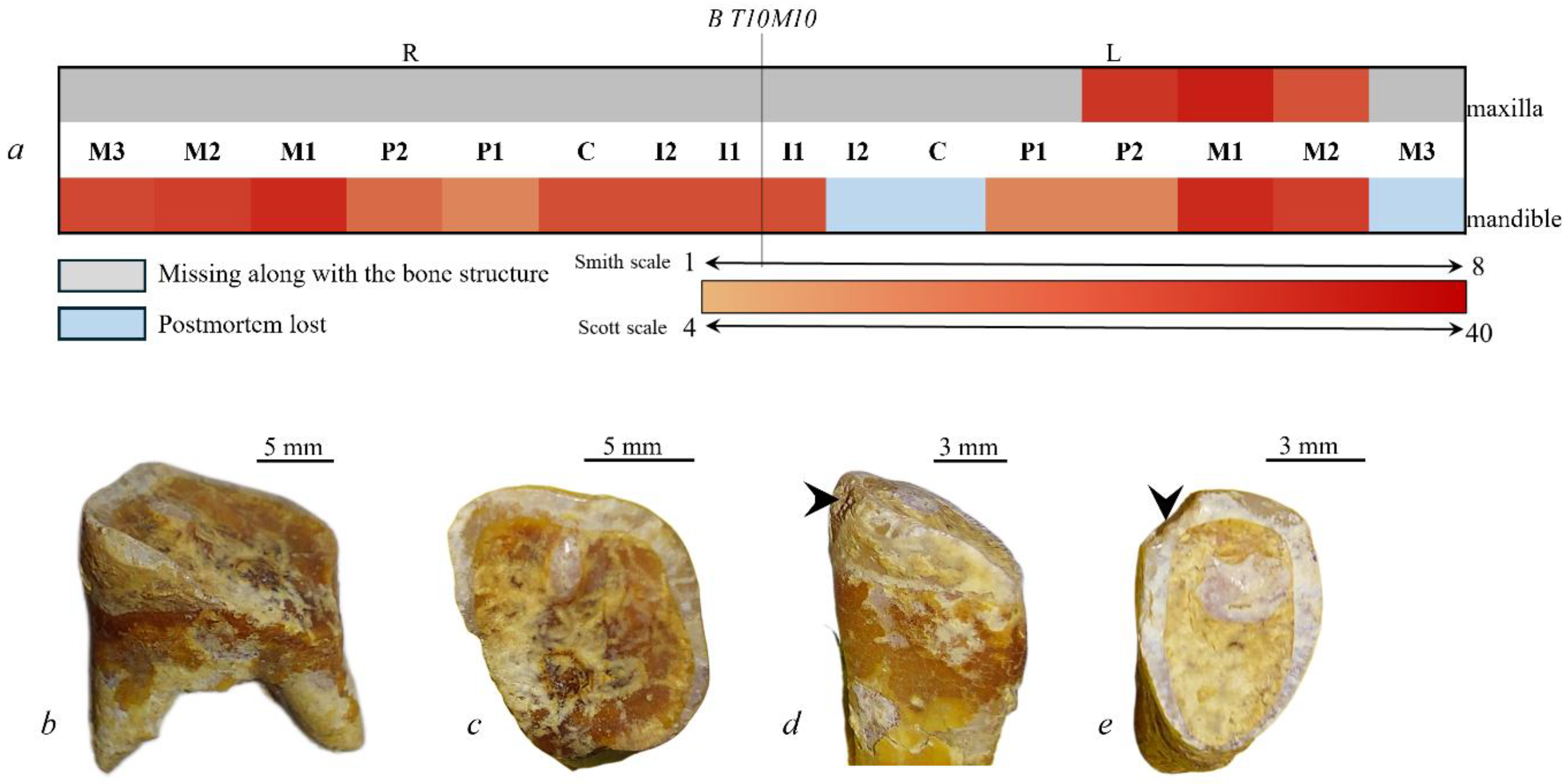 Quaternary 09 00035 g010