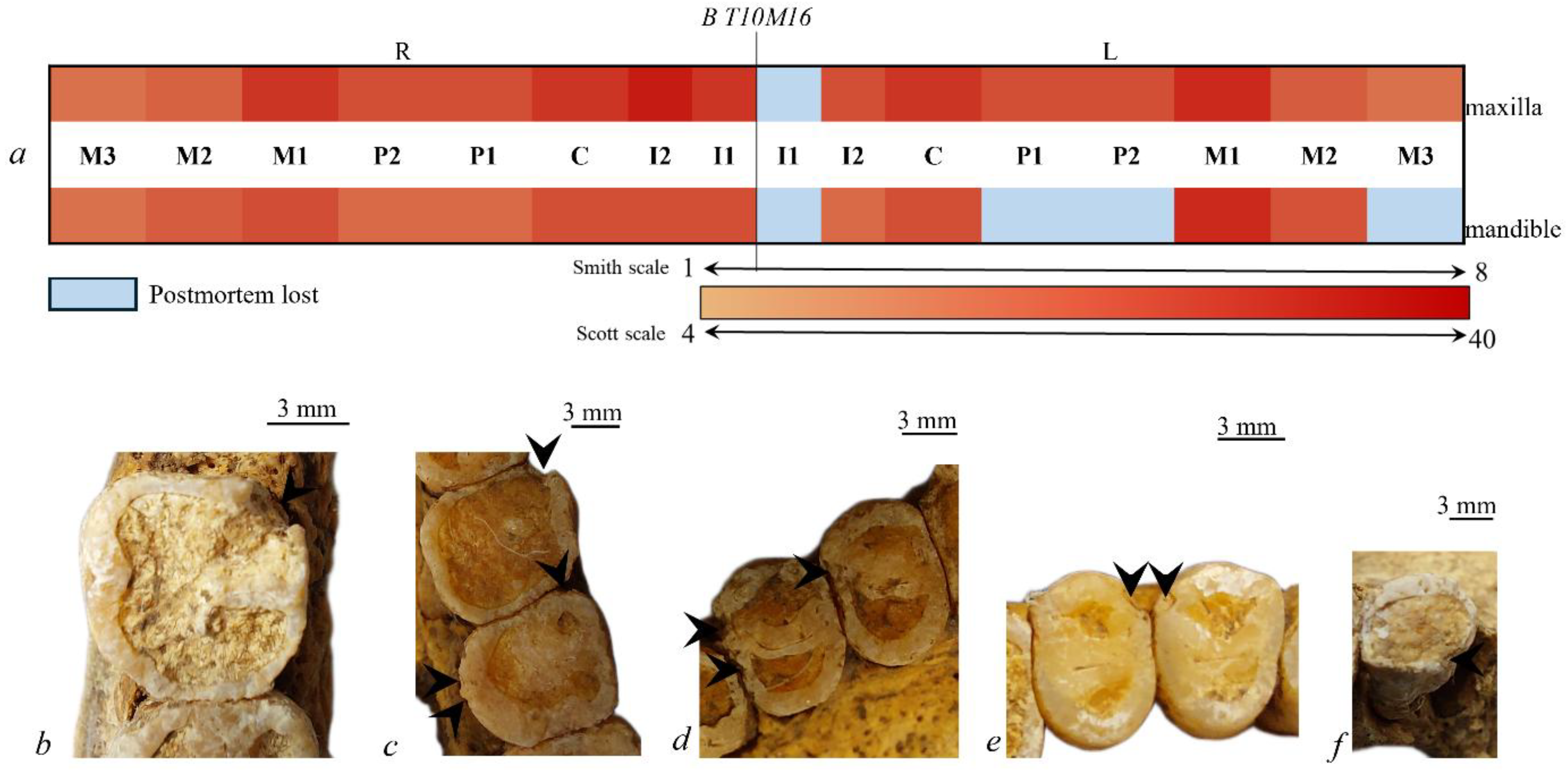Quaternary 09 00035 g011