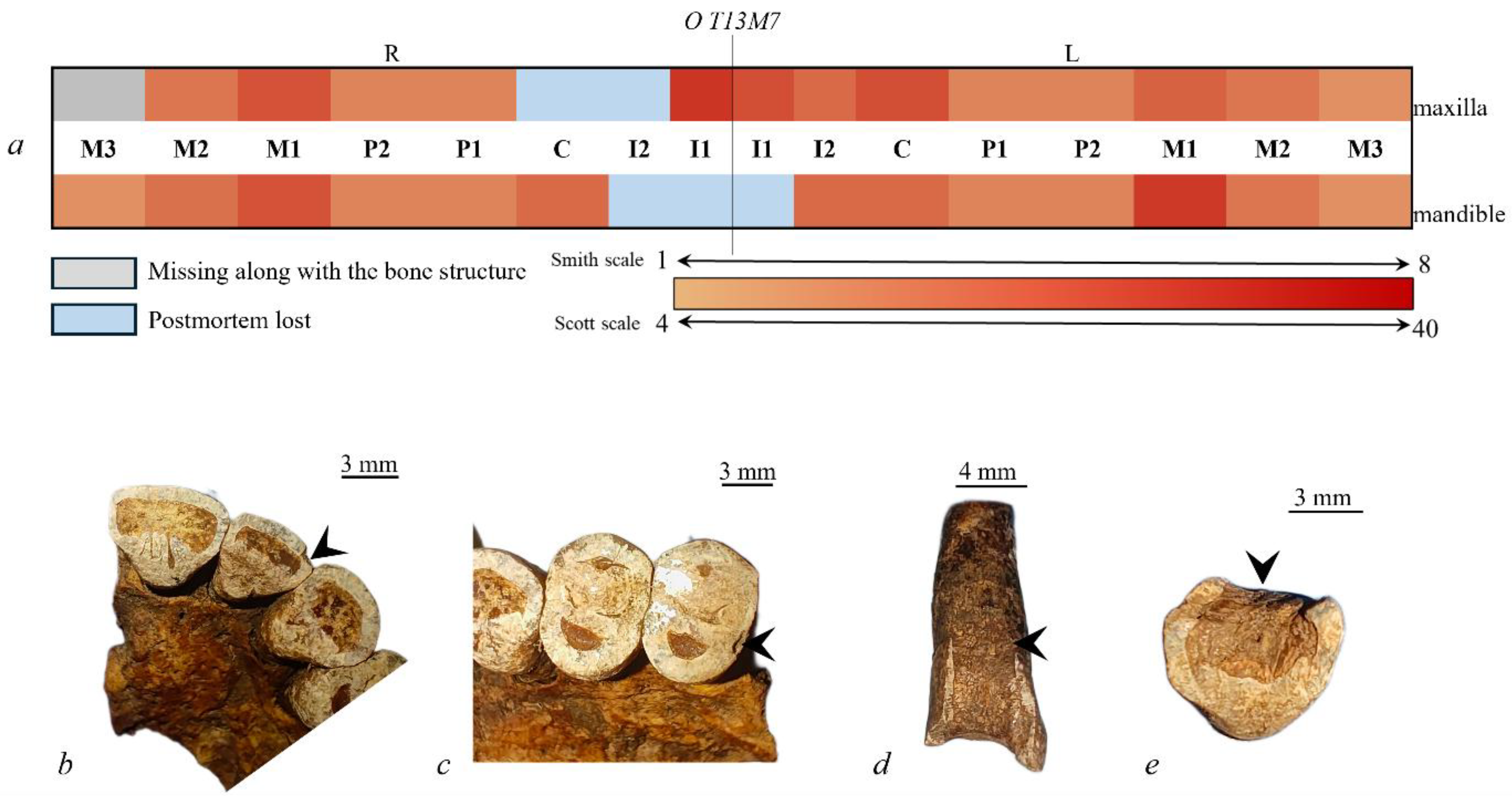 Quaternary 09 00035 g012