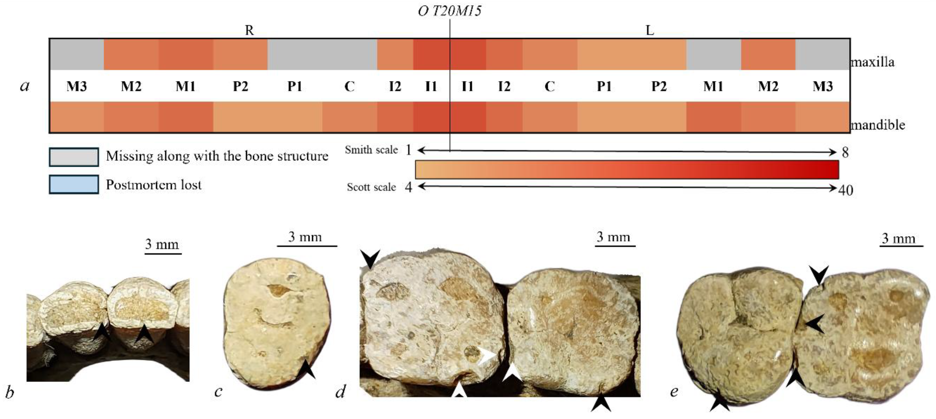 Quaternary 09 00035 g013