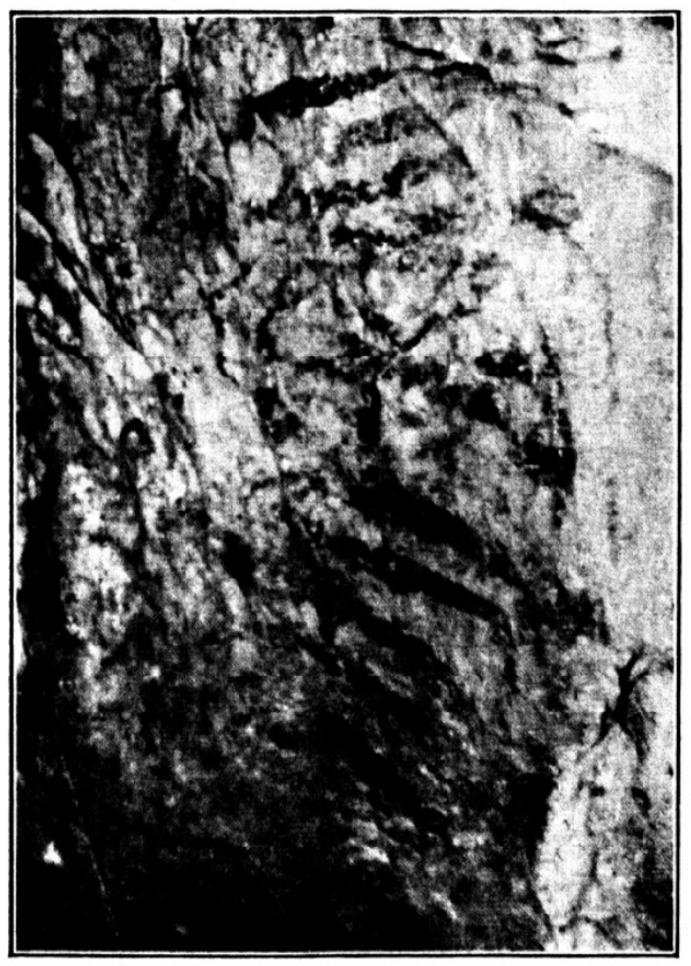 Quaternary 09 00043 g006 Quaternary 09 00043 g006