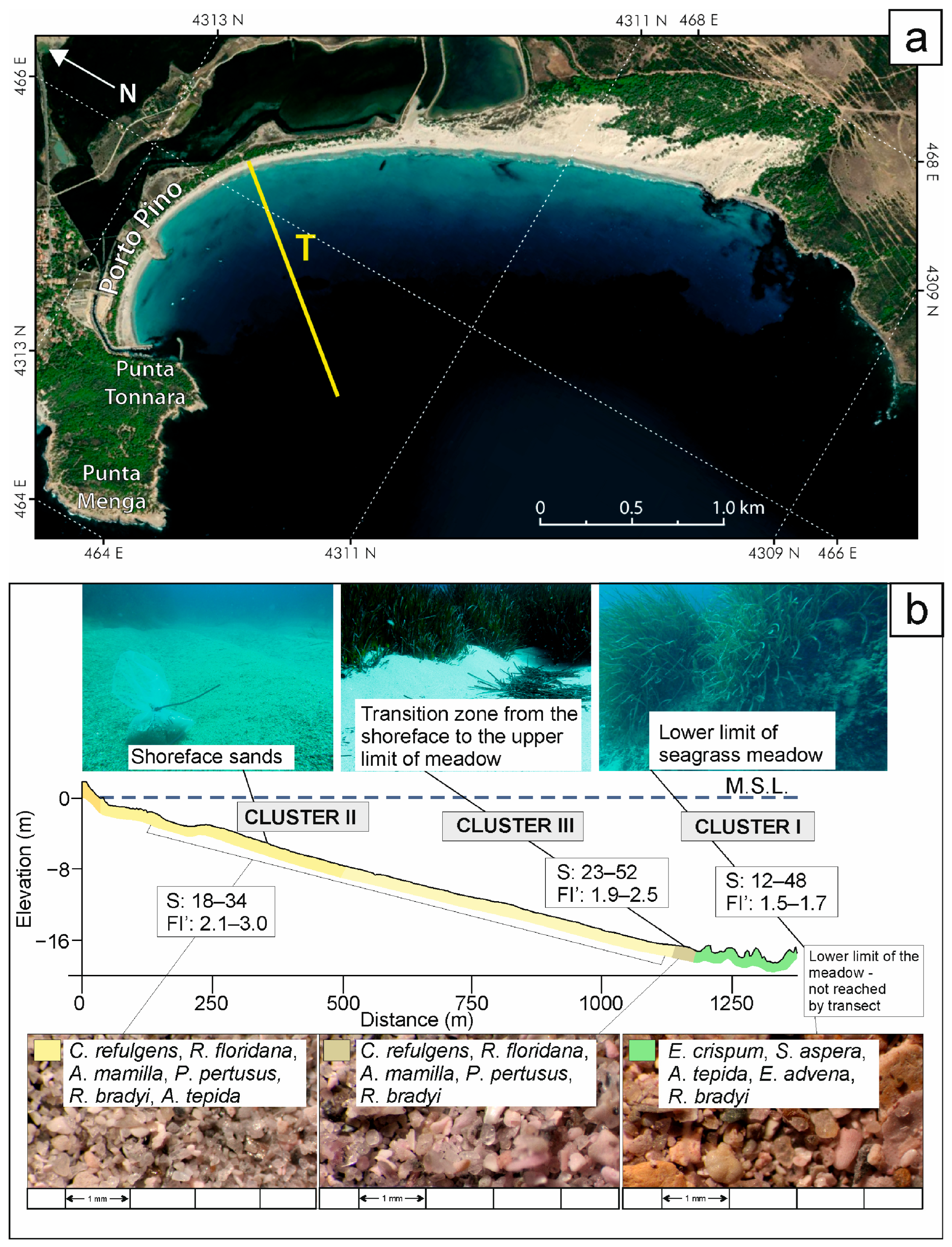 Quaternary 09 00051 g008