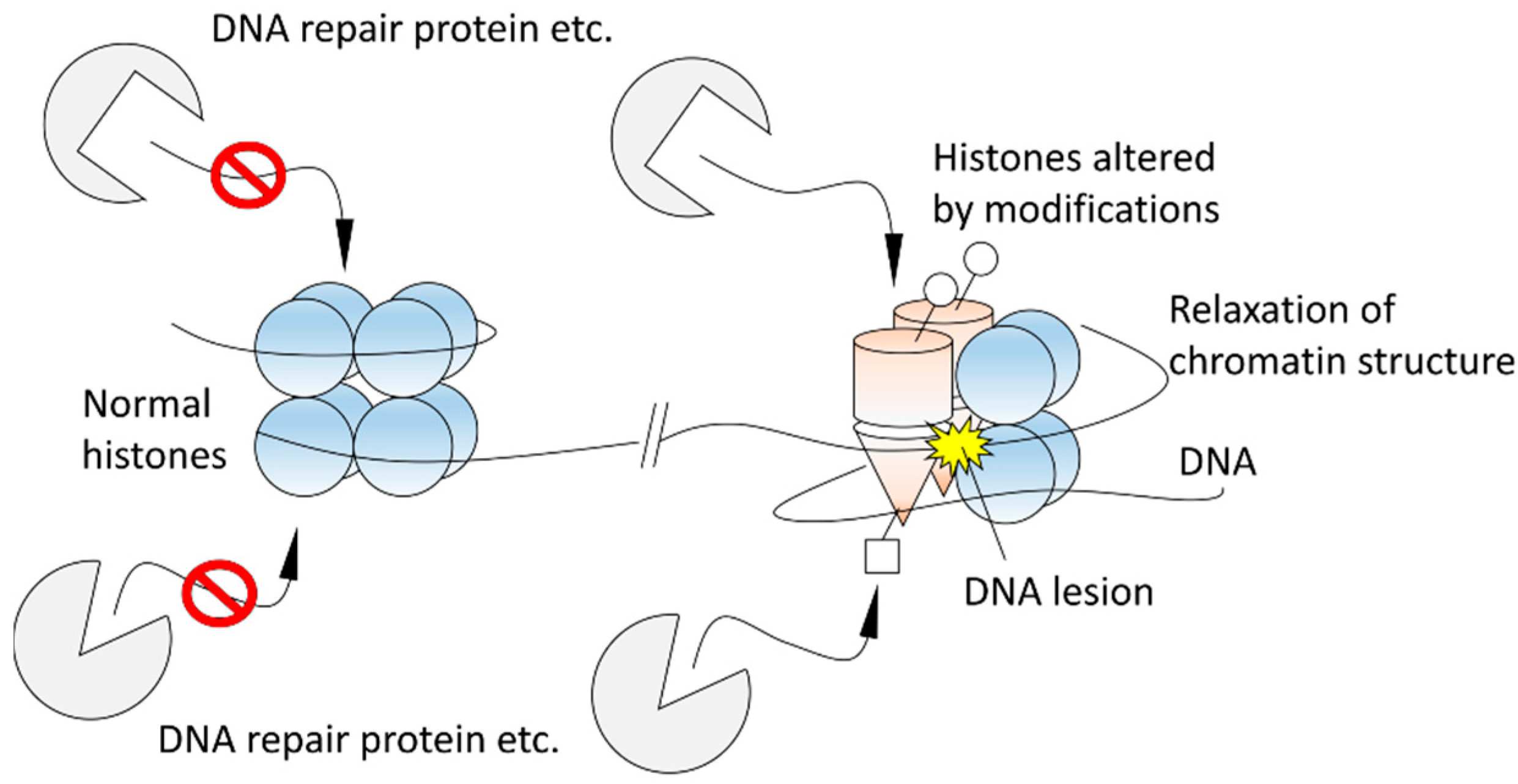 Qubs 03 00023 g003 Qubs 03 00023 g003