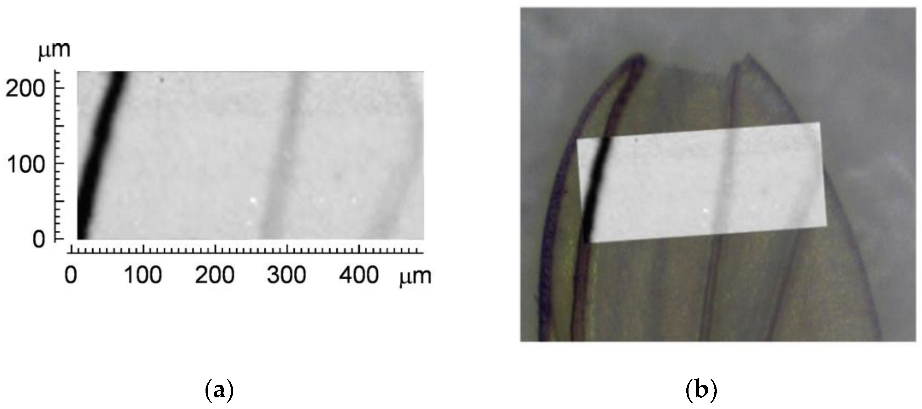 Qubs 04 00022 g015 Qubs 04 00022 g015