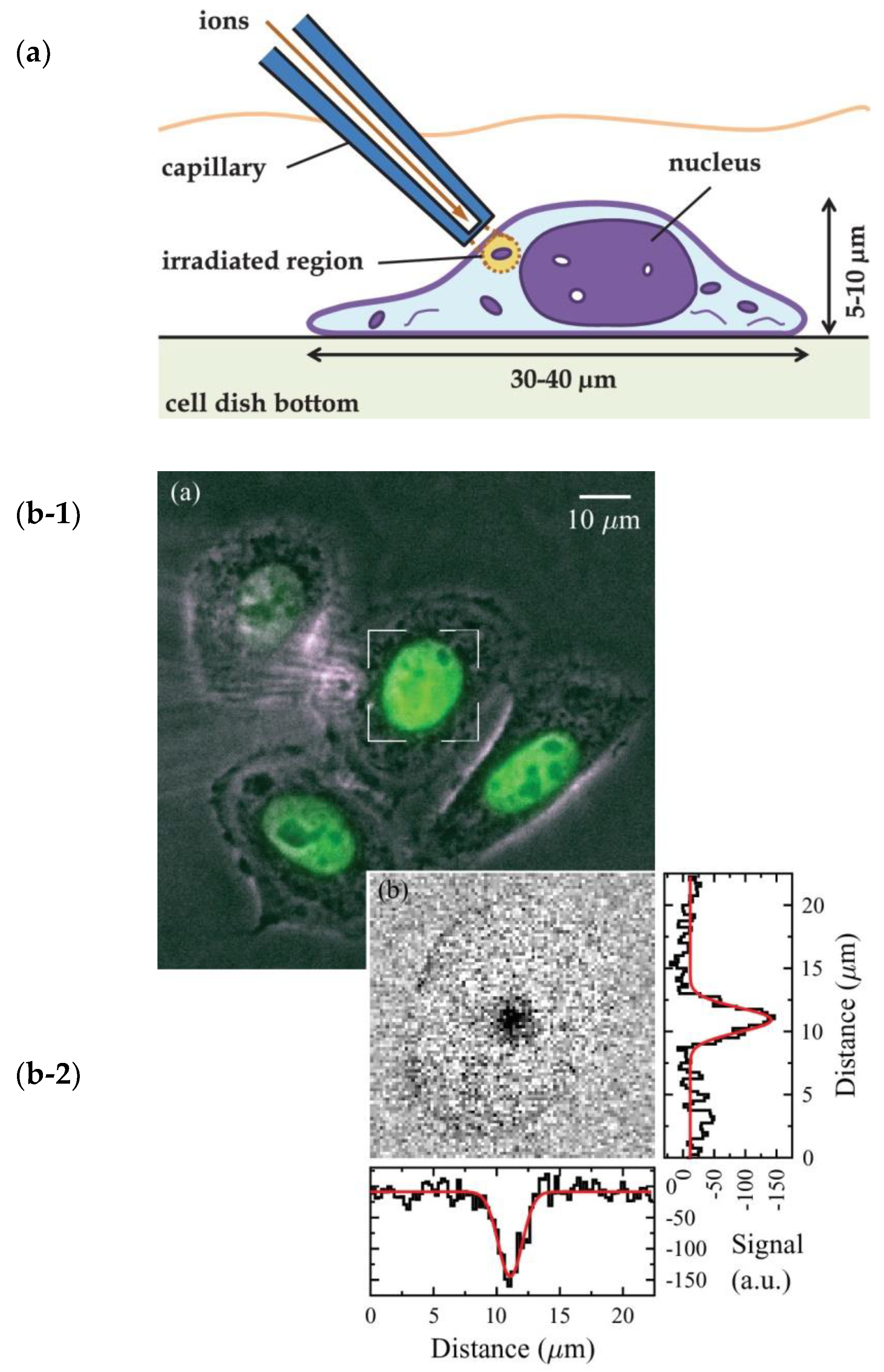 Qubs 04 00022 g016 Qubs 04 00022 g016