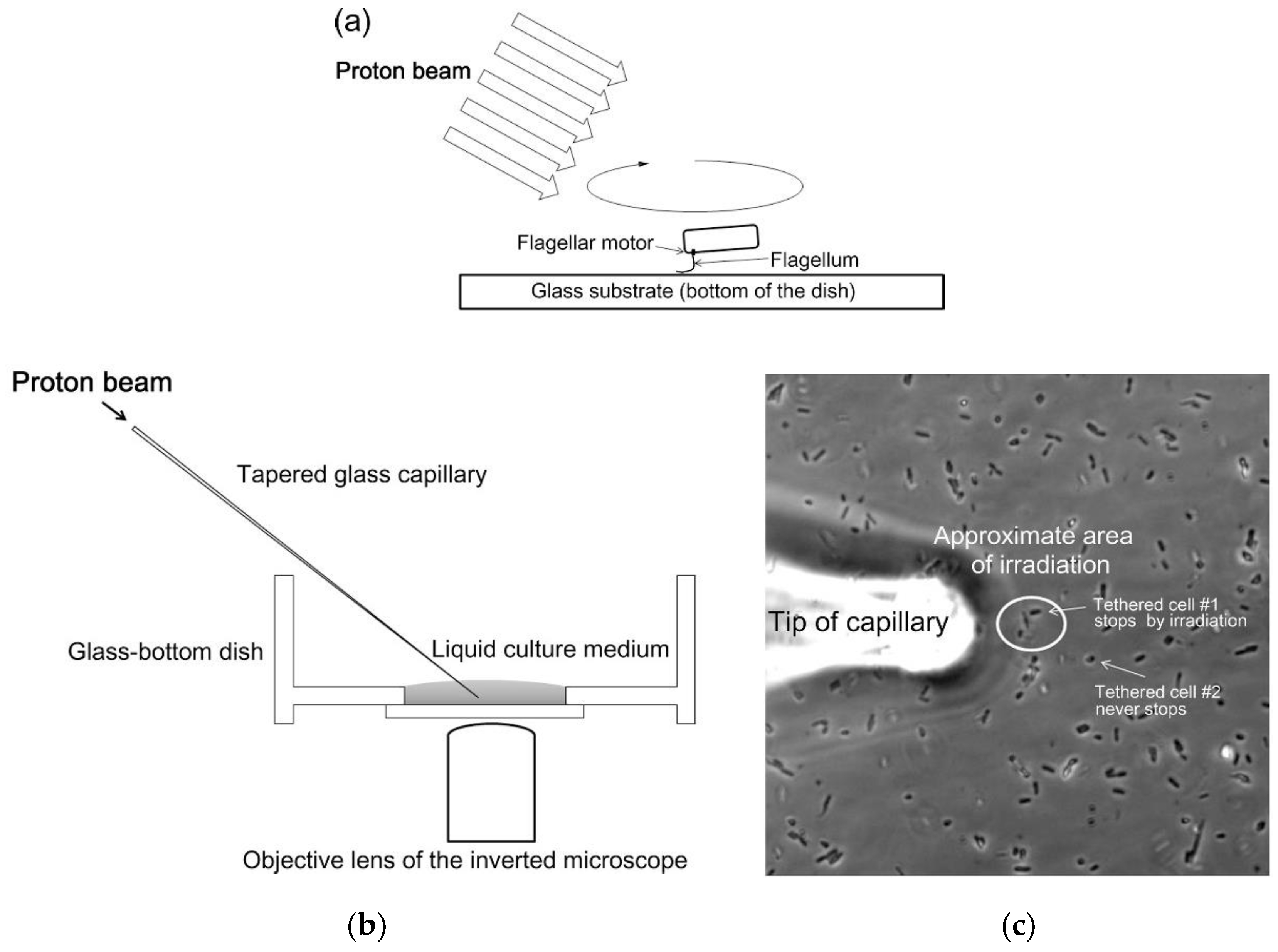 Qubs 04 00022 g018 Qubs 04 00022 g018