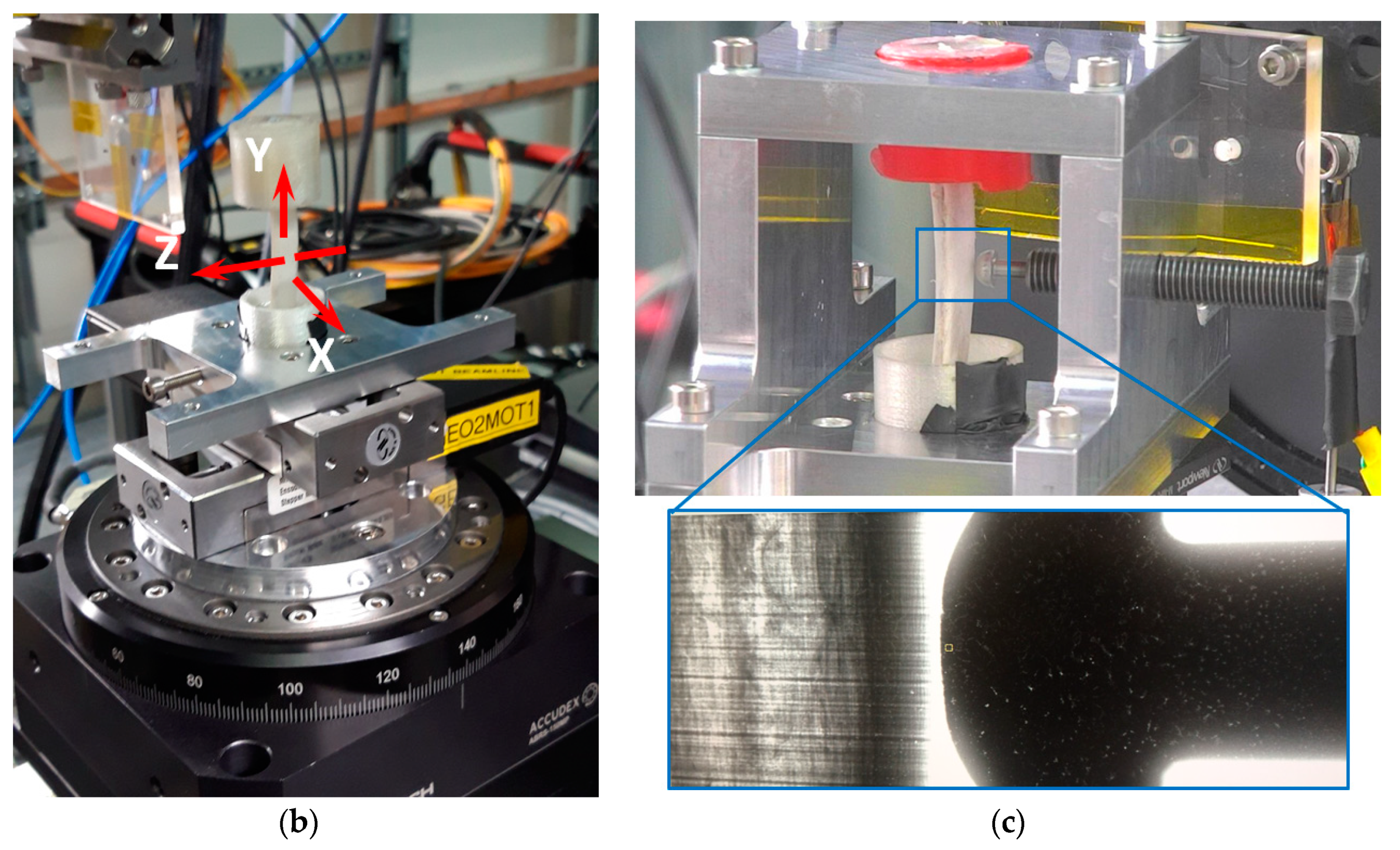 Qubs 04 00029 g003b Qubs 04 00029 g003b