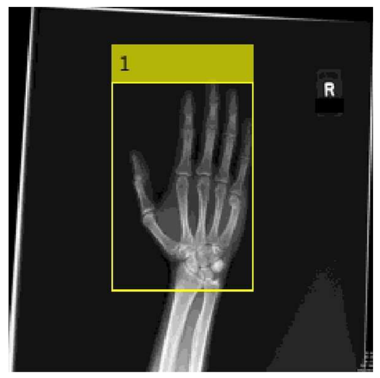 Radiation 01 00010 g001