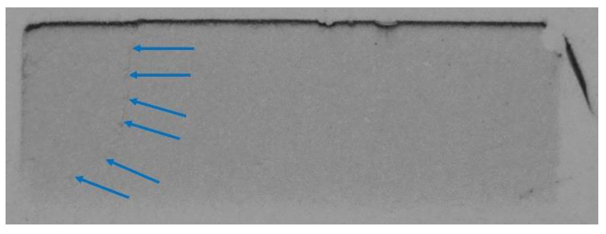 Radiation 01 00011 g004 Radiation 01 00011 g004