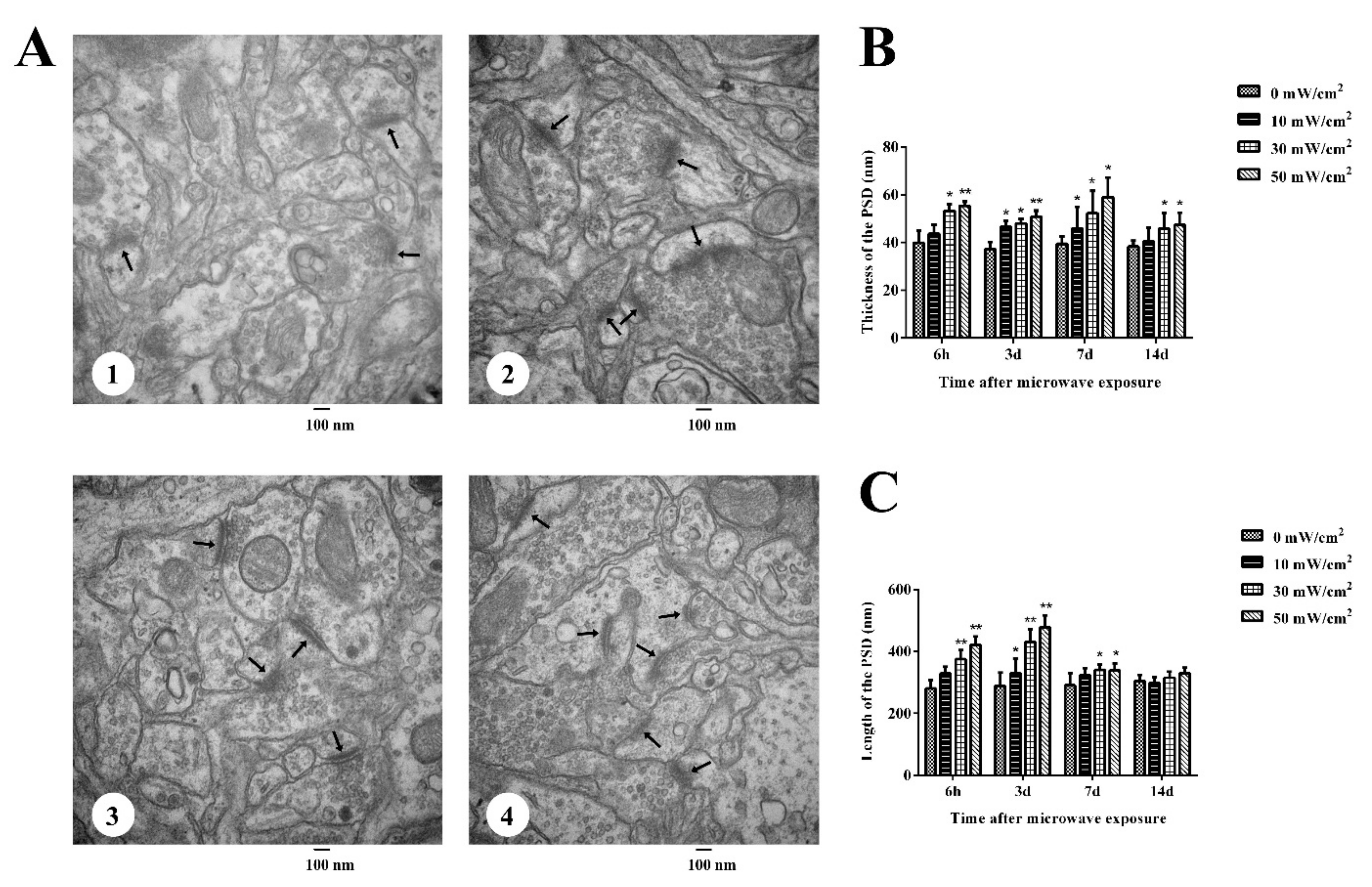 Radiation 01 00023 g002