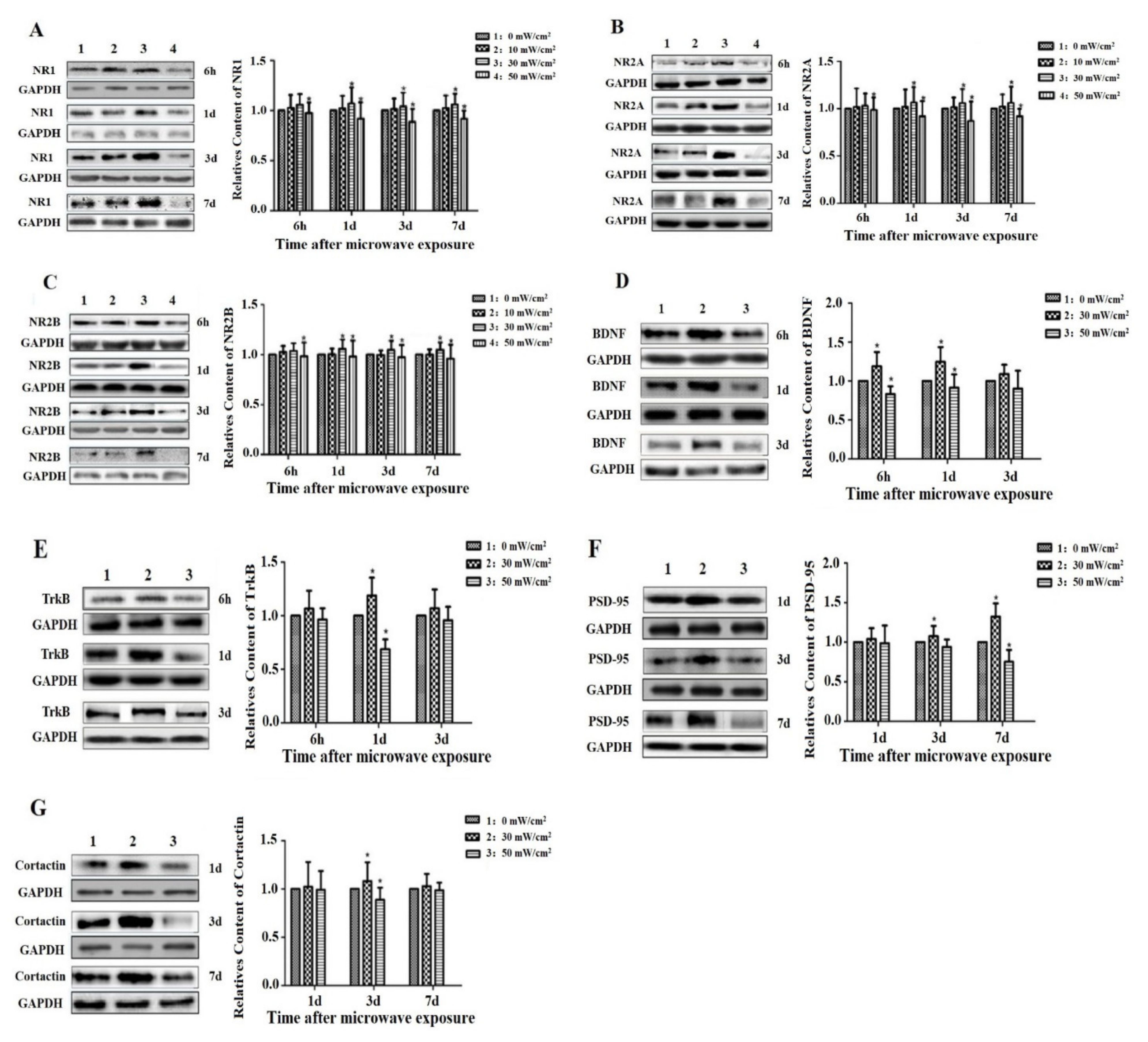 Radiation 01 00023 g004