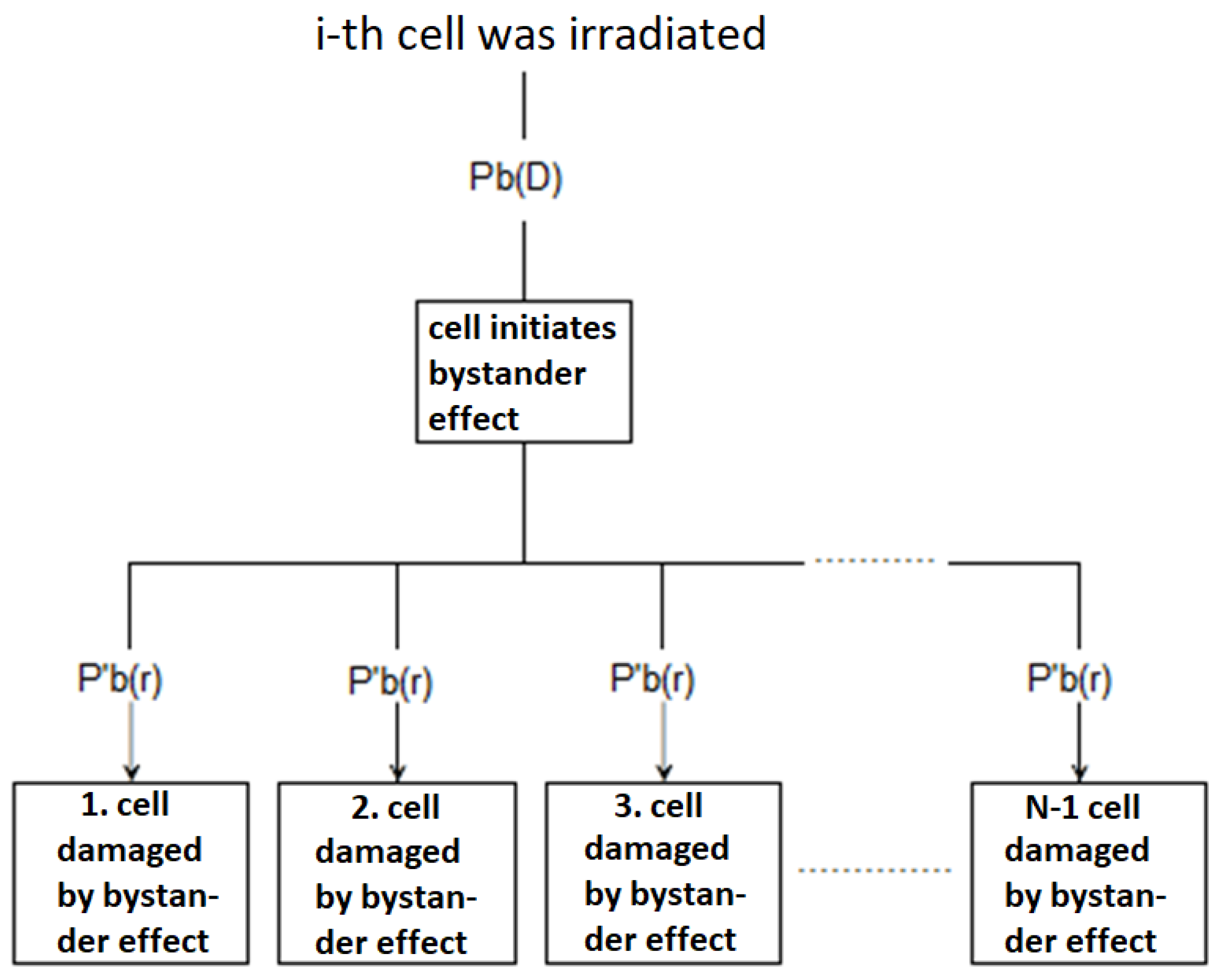 Radiation 02 00003 g001