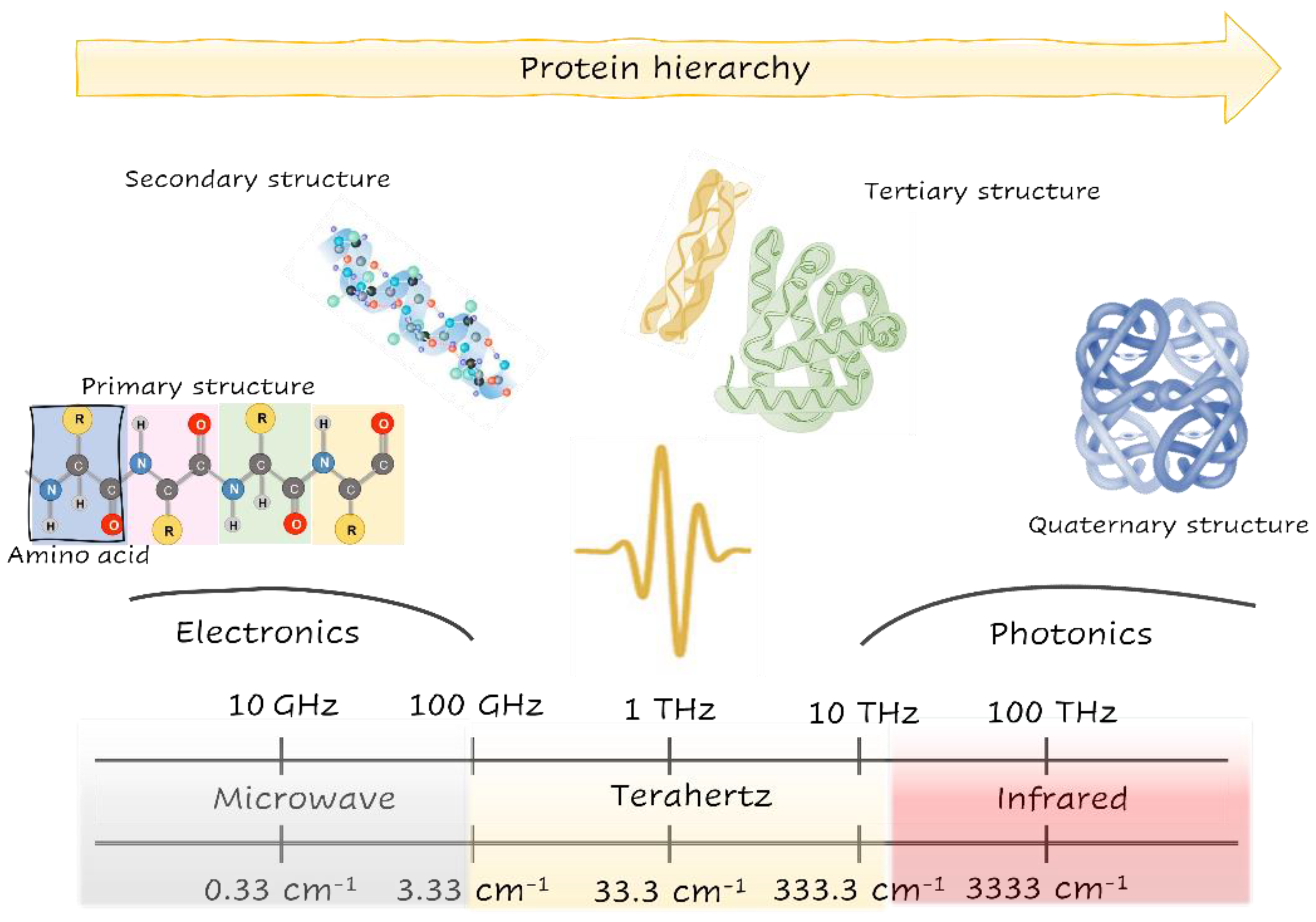 Radiation 02 00008 g001