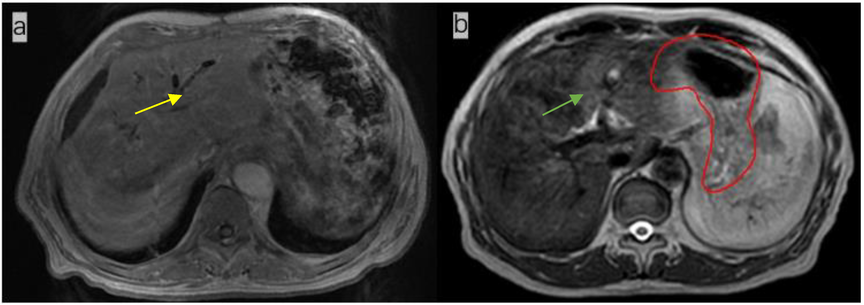Radiation 02 00019 g001