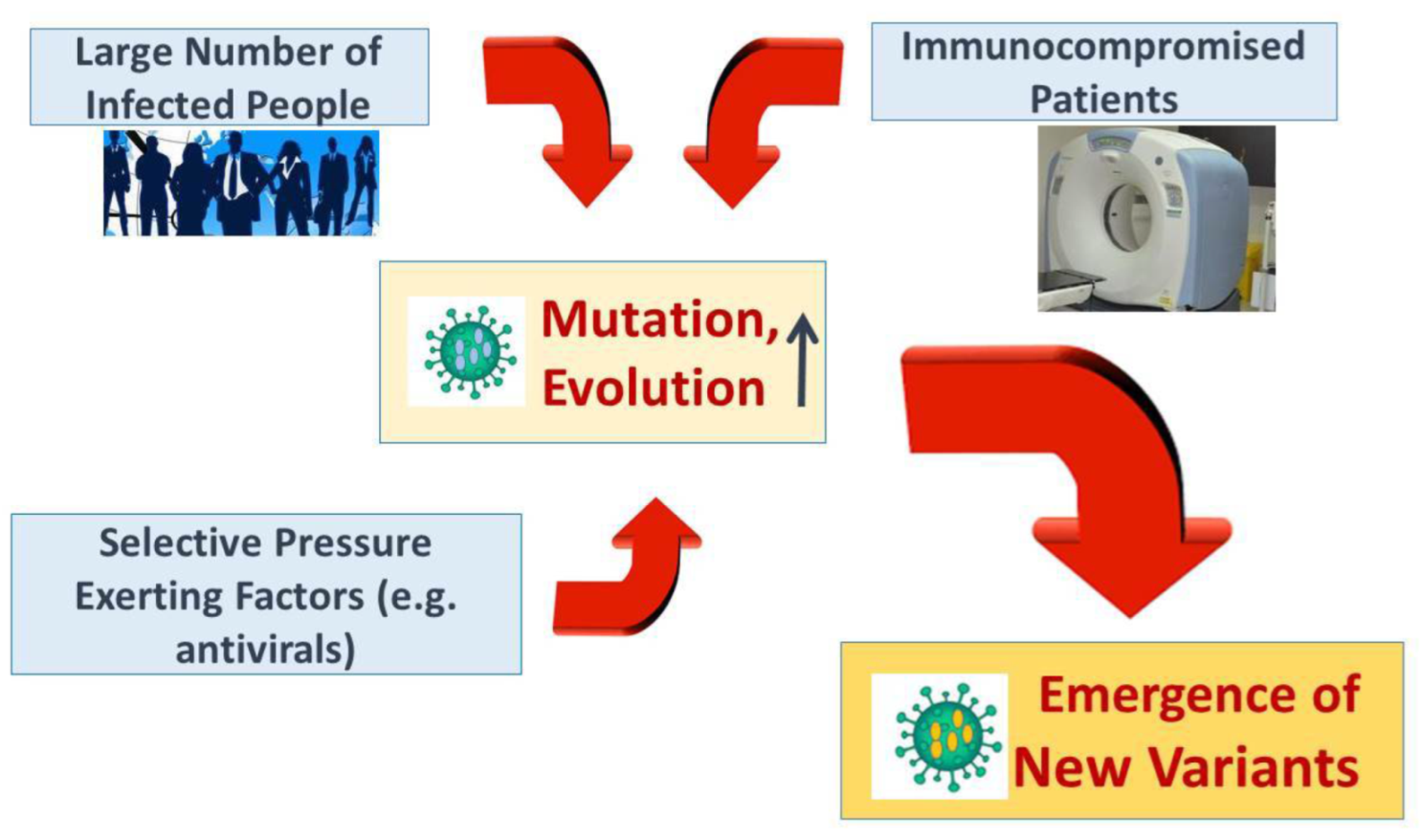 Radiation 02 00020 g002