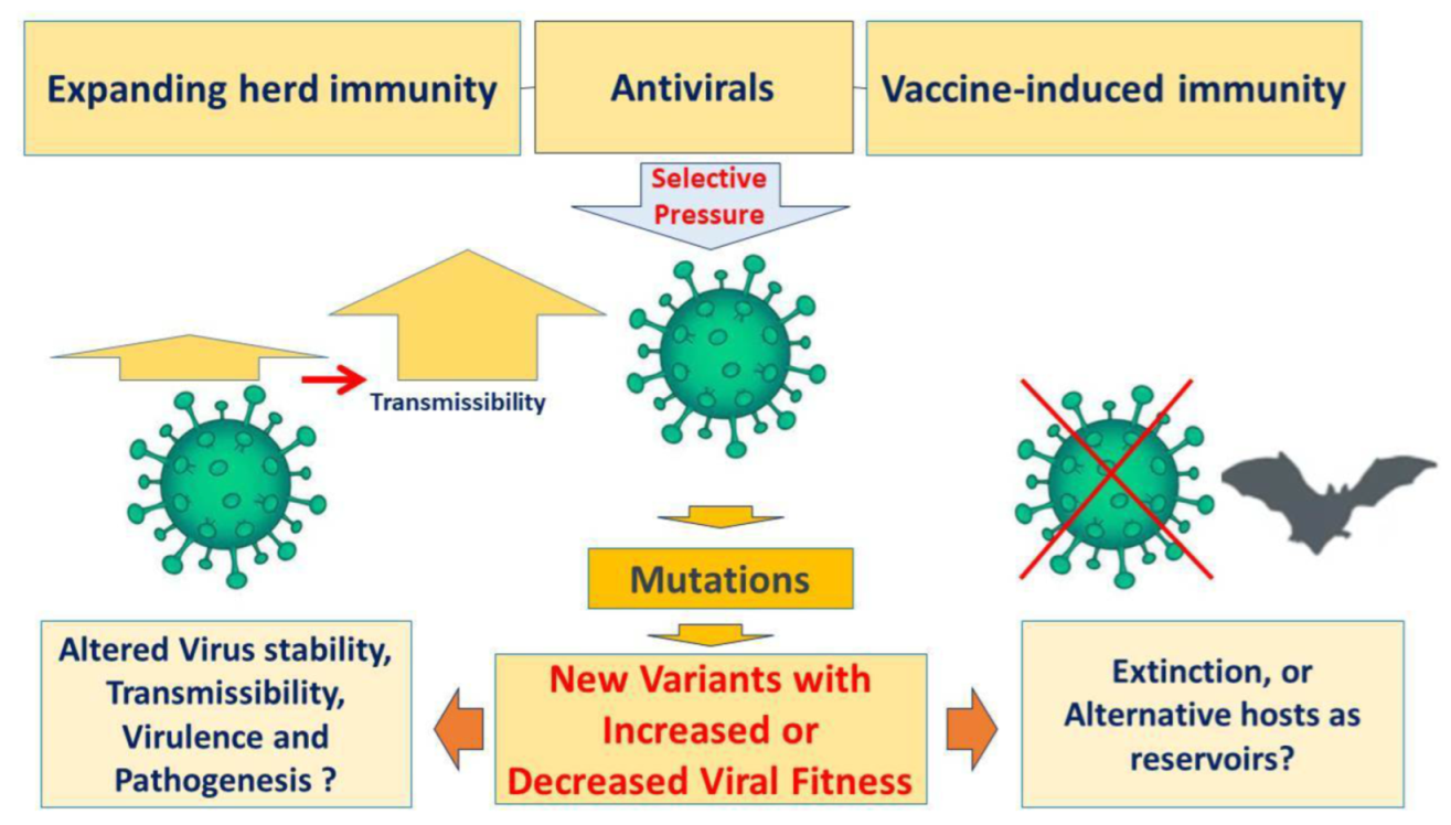 Radiation 02 00020 g003