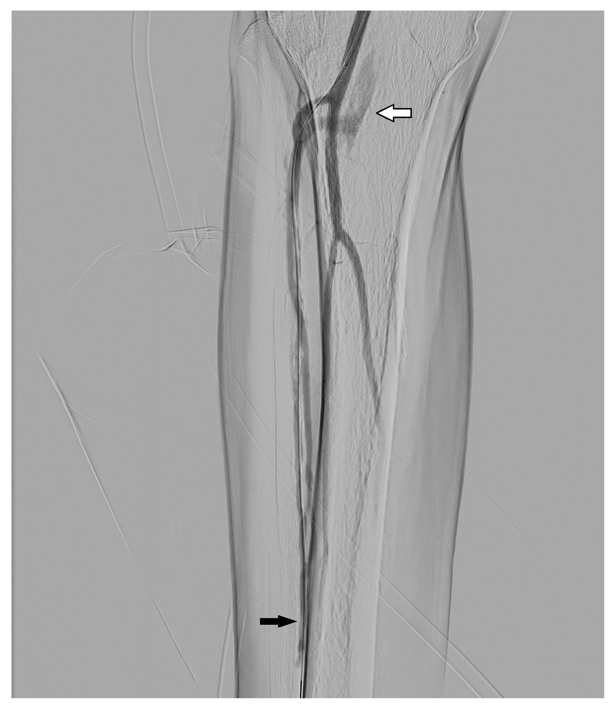 Radiation 02 00028 g008