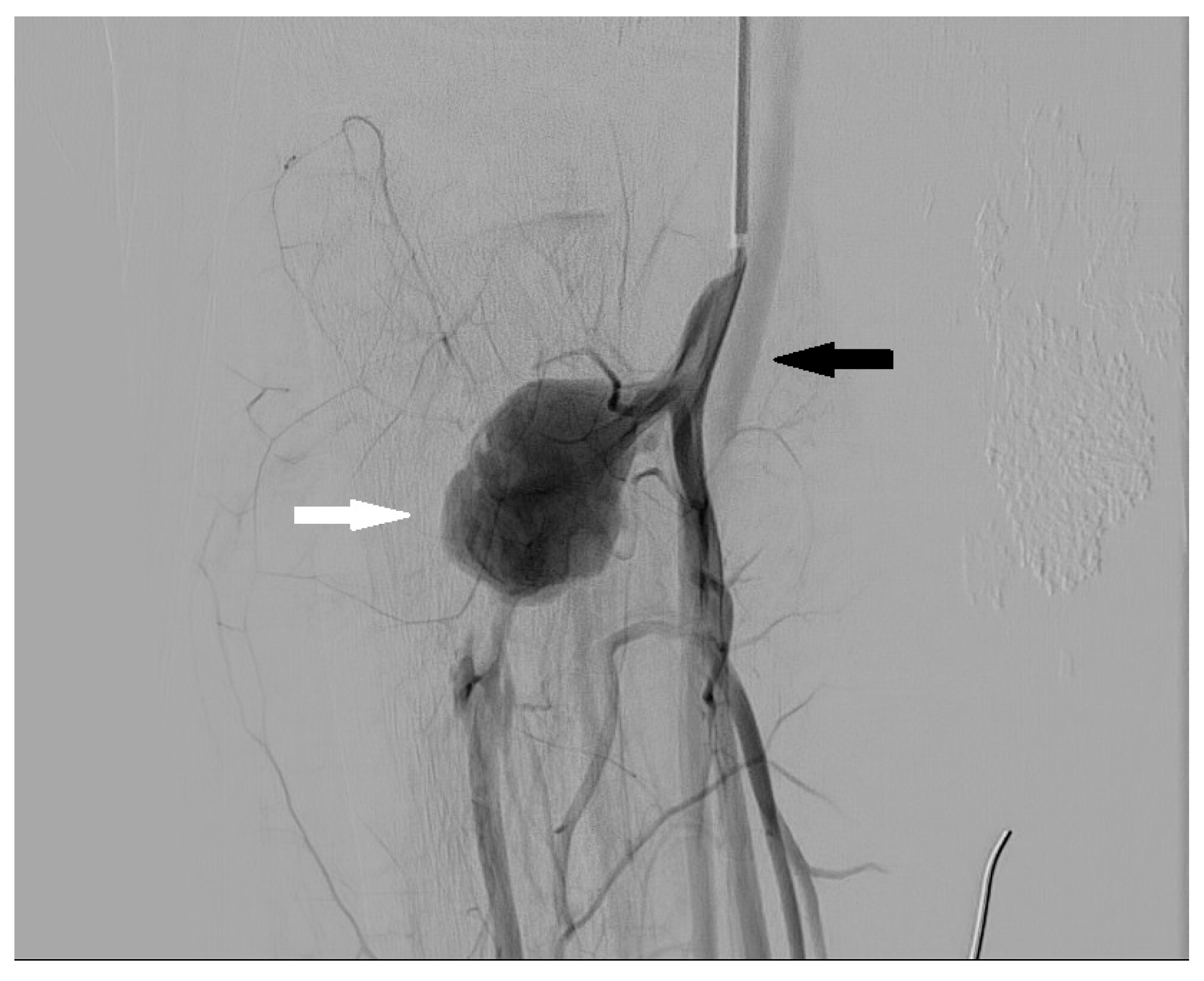 Radiation 02 00028 g009