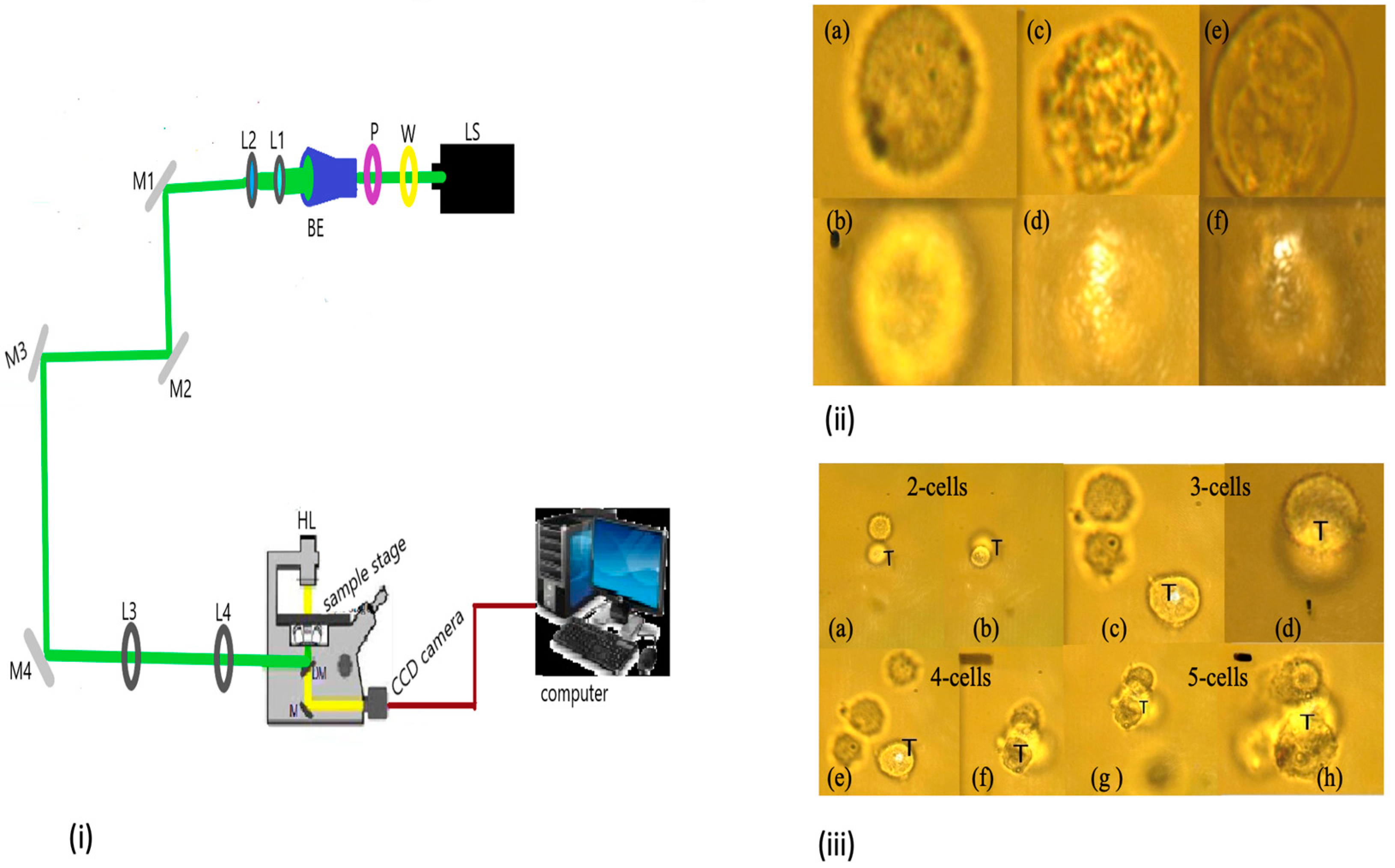 Radiation 04 00007 g001