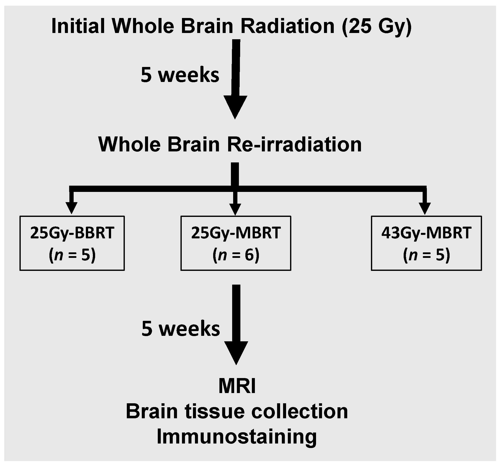 Radiation 04 00010 g001 Radiation 04 00010 g001