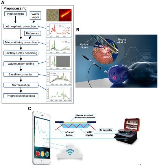 Radiation 04 00022 g009