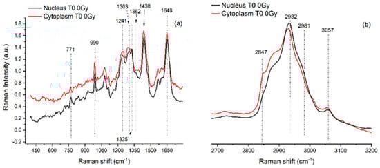 Radiation 05 00010 g002