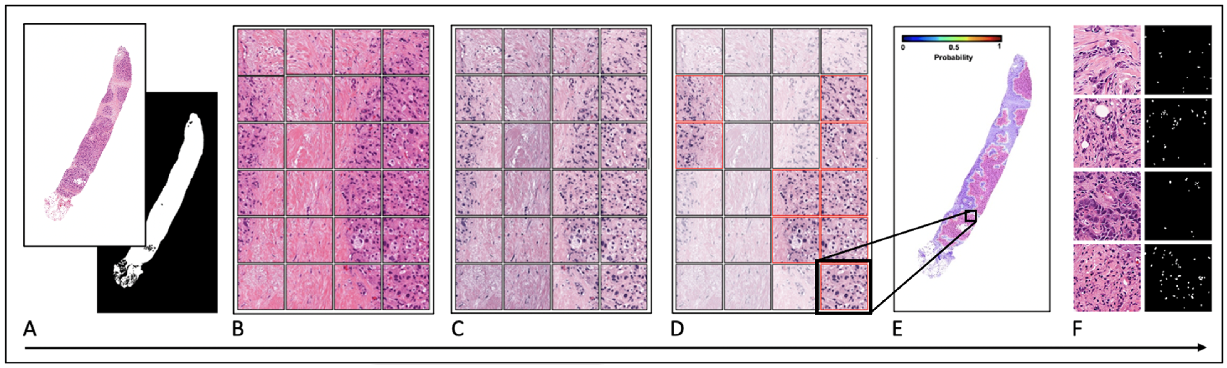 Radiation 05 00011 g001