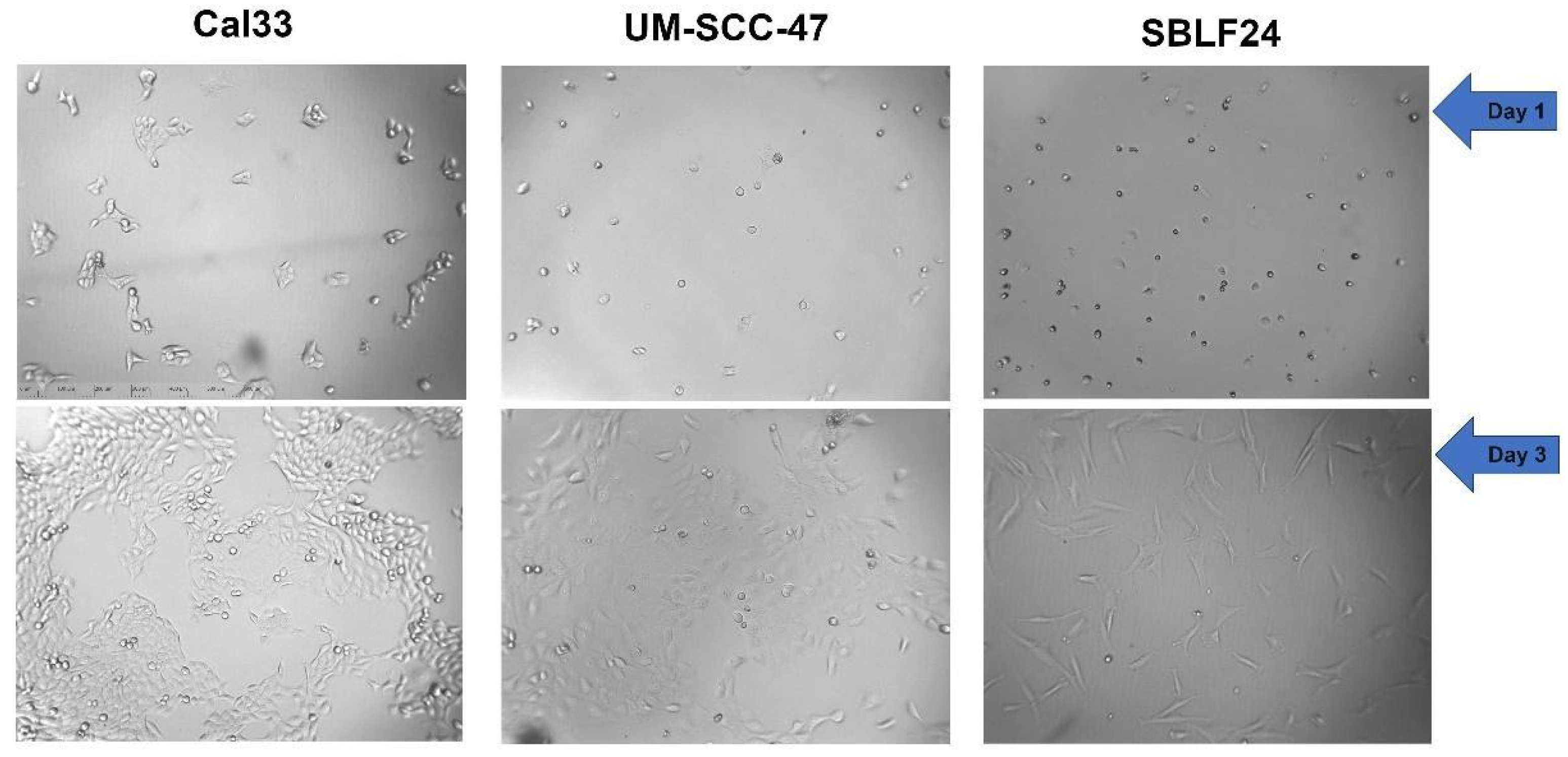 Radiation 05 00014 g001