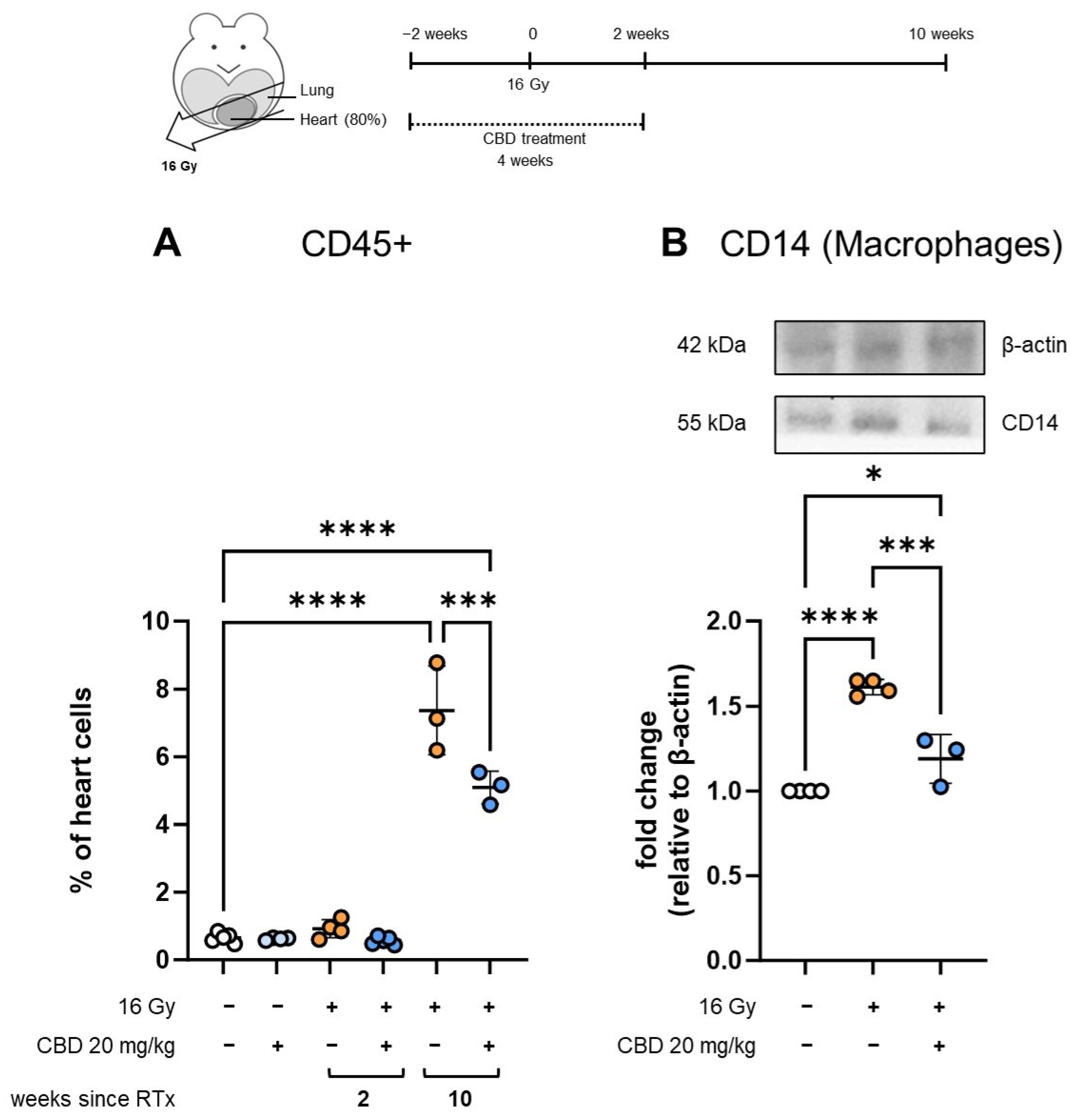 Radiation 05 00017 g005
