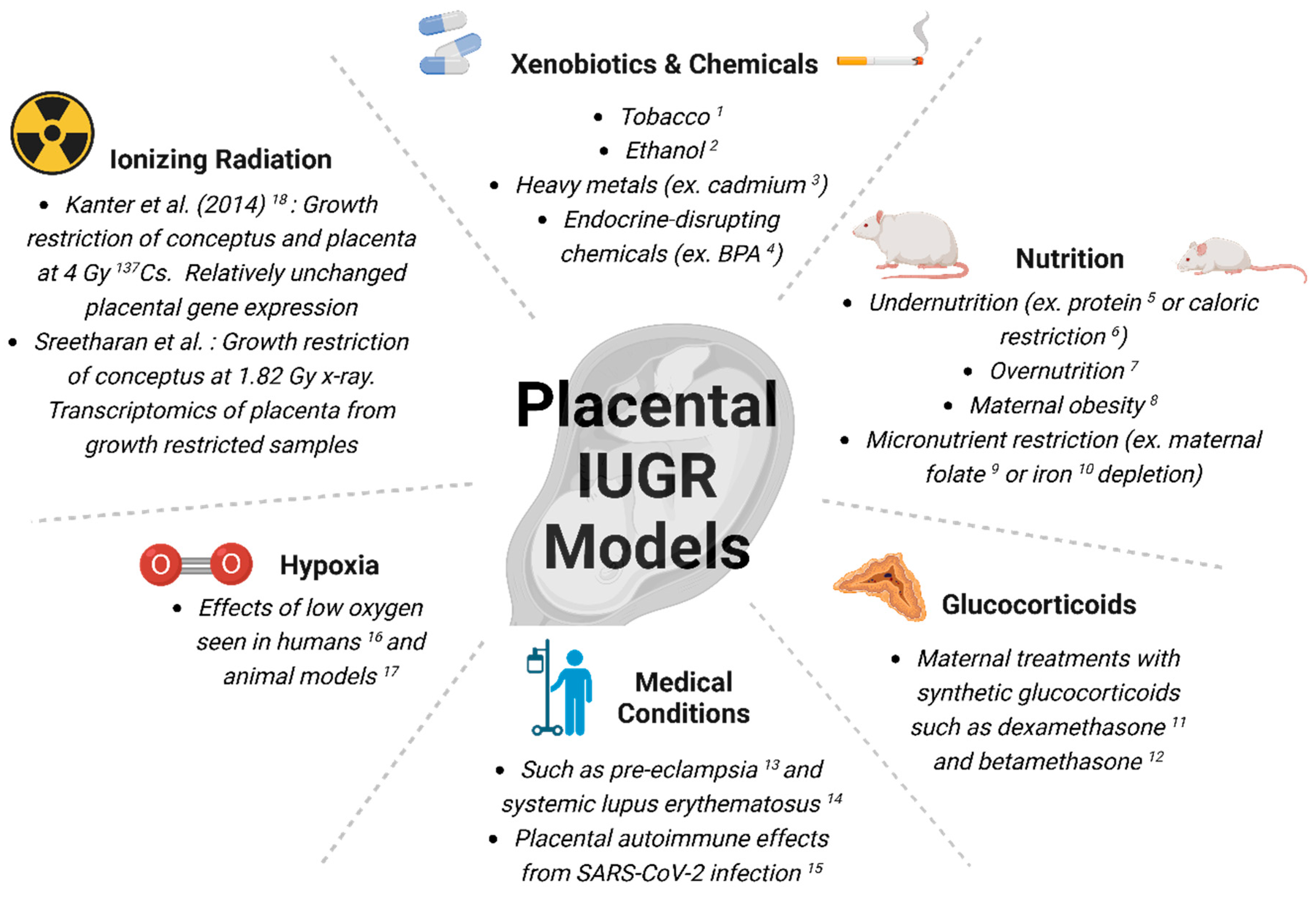 Radiation 05 00035 g007