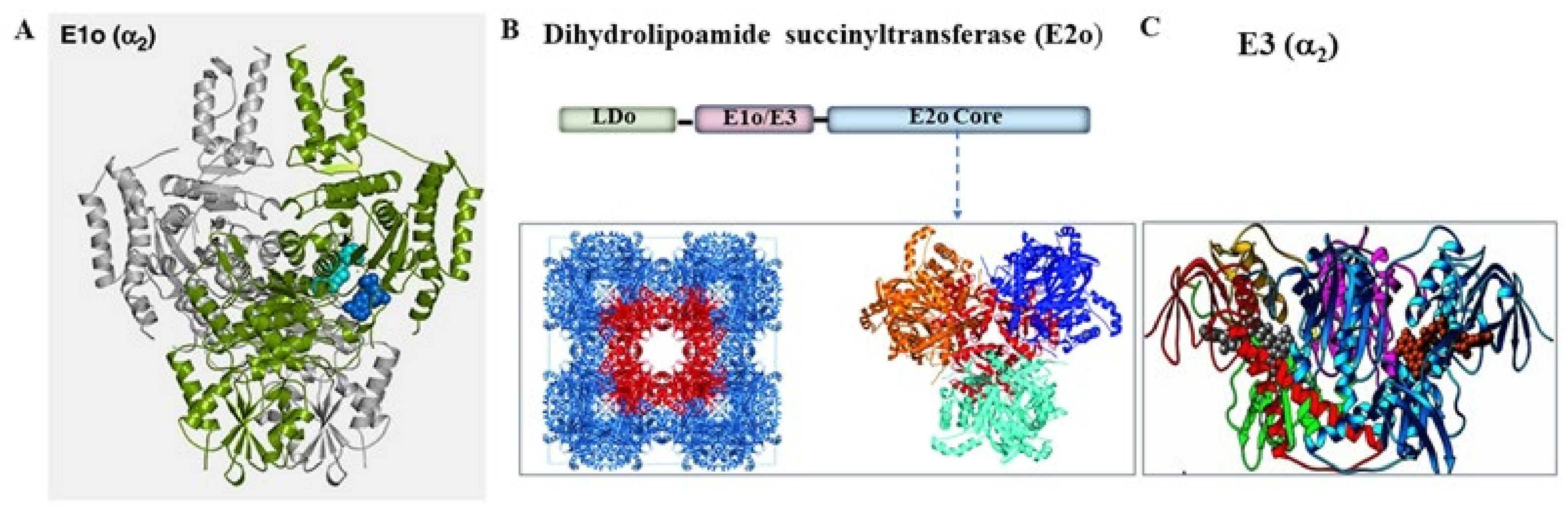 Reactions 03 00011 g001