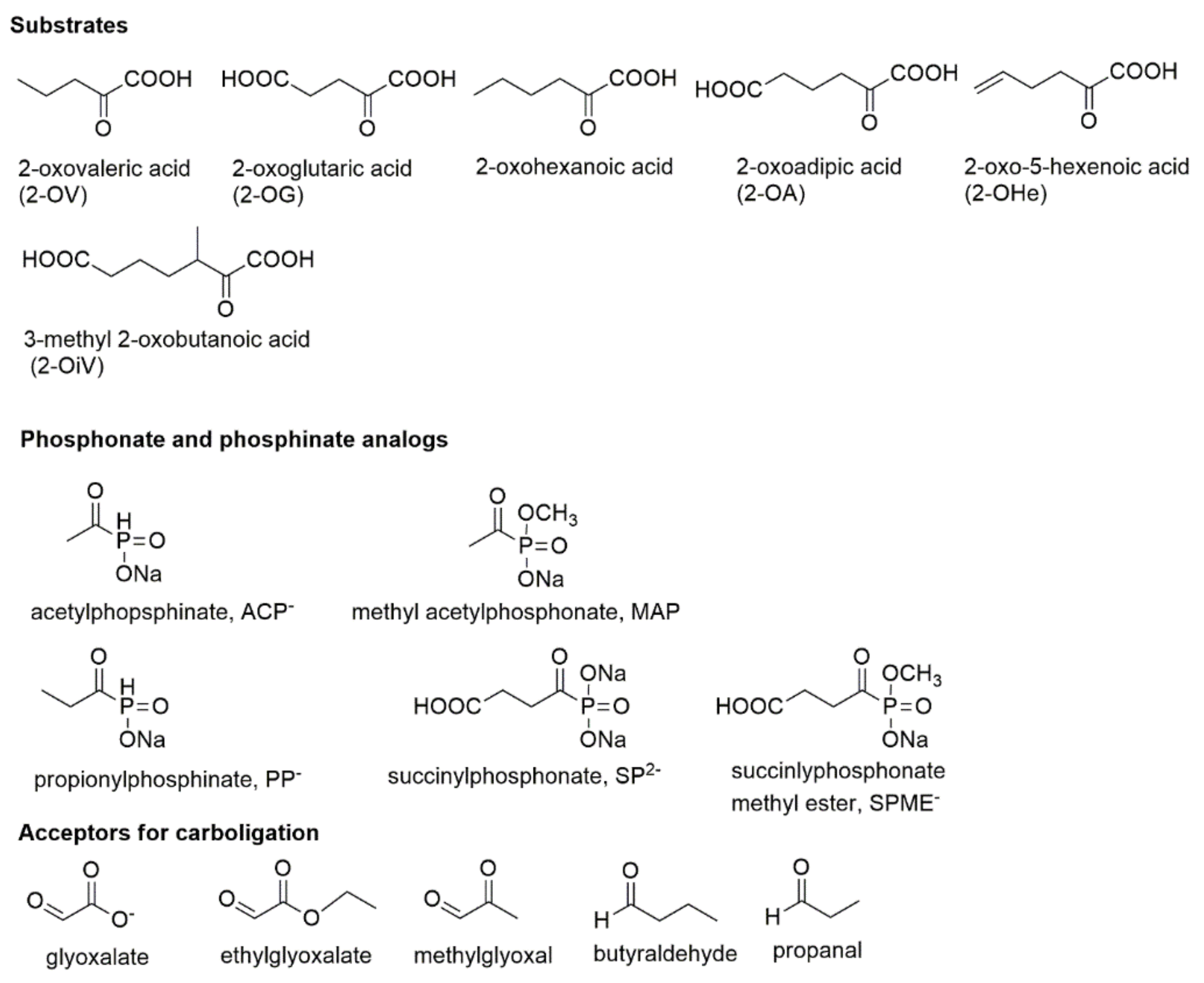 Reactions 03 00011 g002