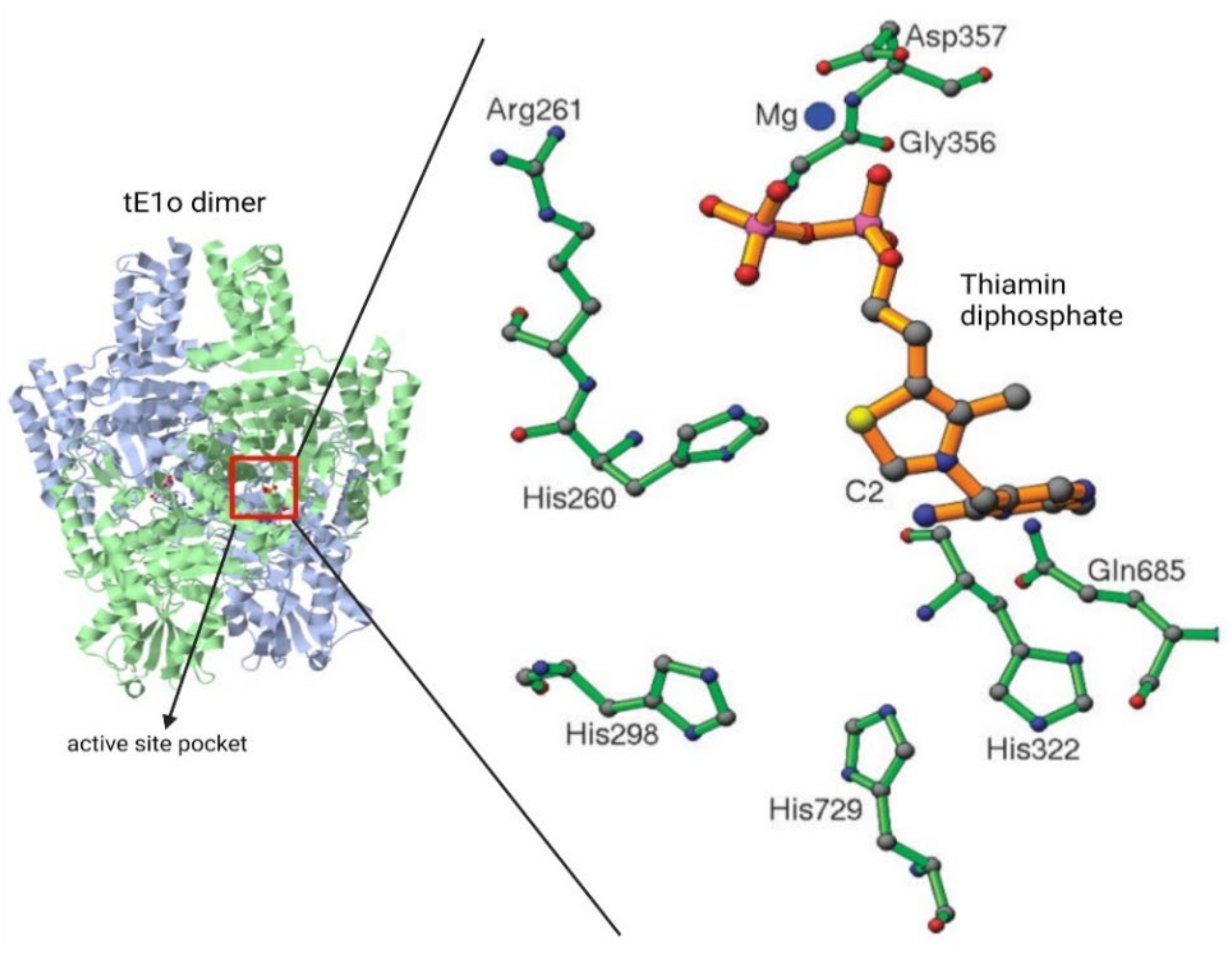 Reactions 03 00011 g003