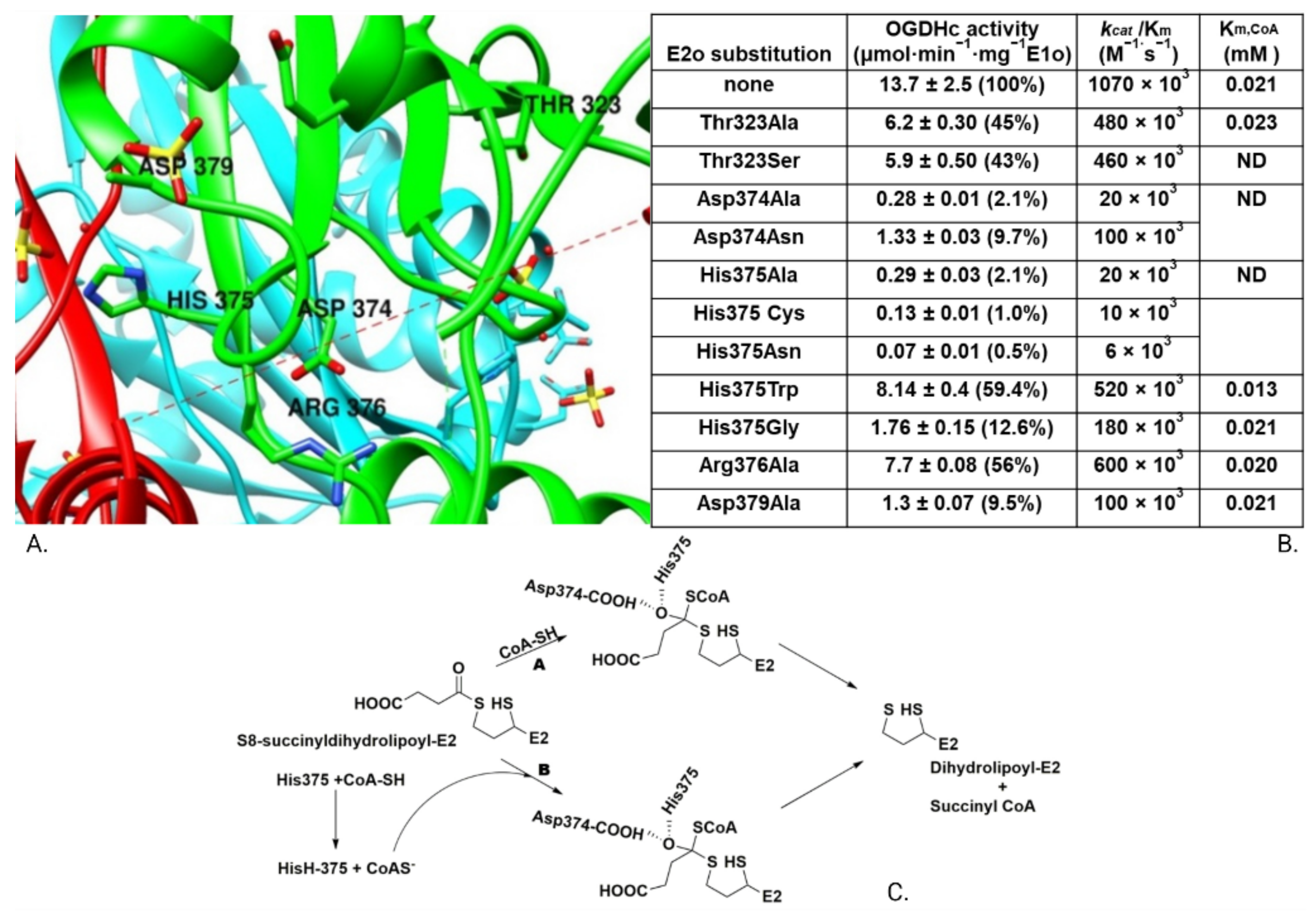 Reactions 03 00011 g005