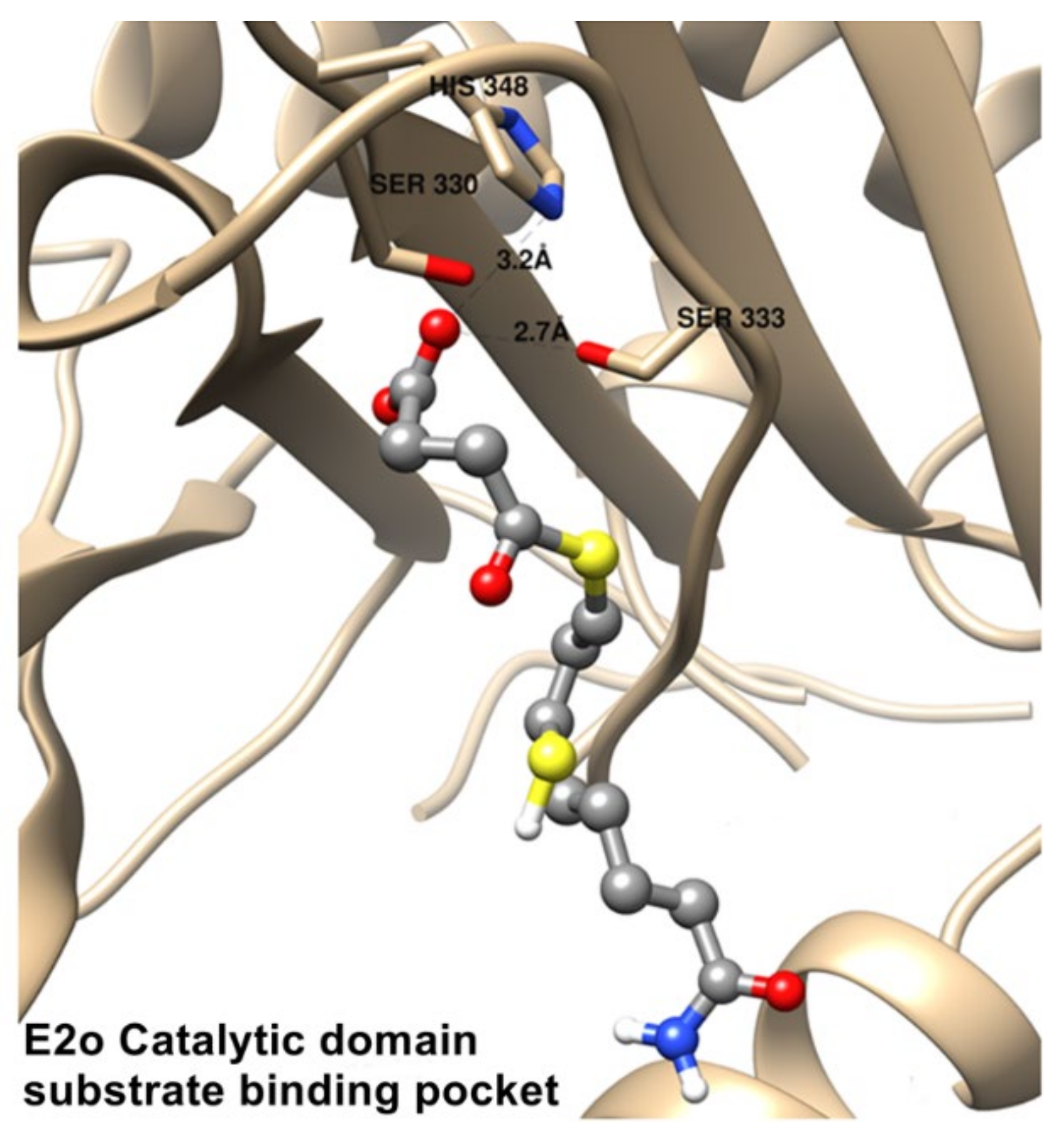 Reactions 03 00011 g006