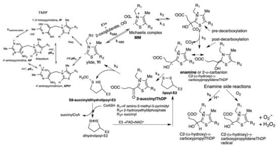 Reactions 03 00011 sch001