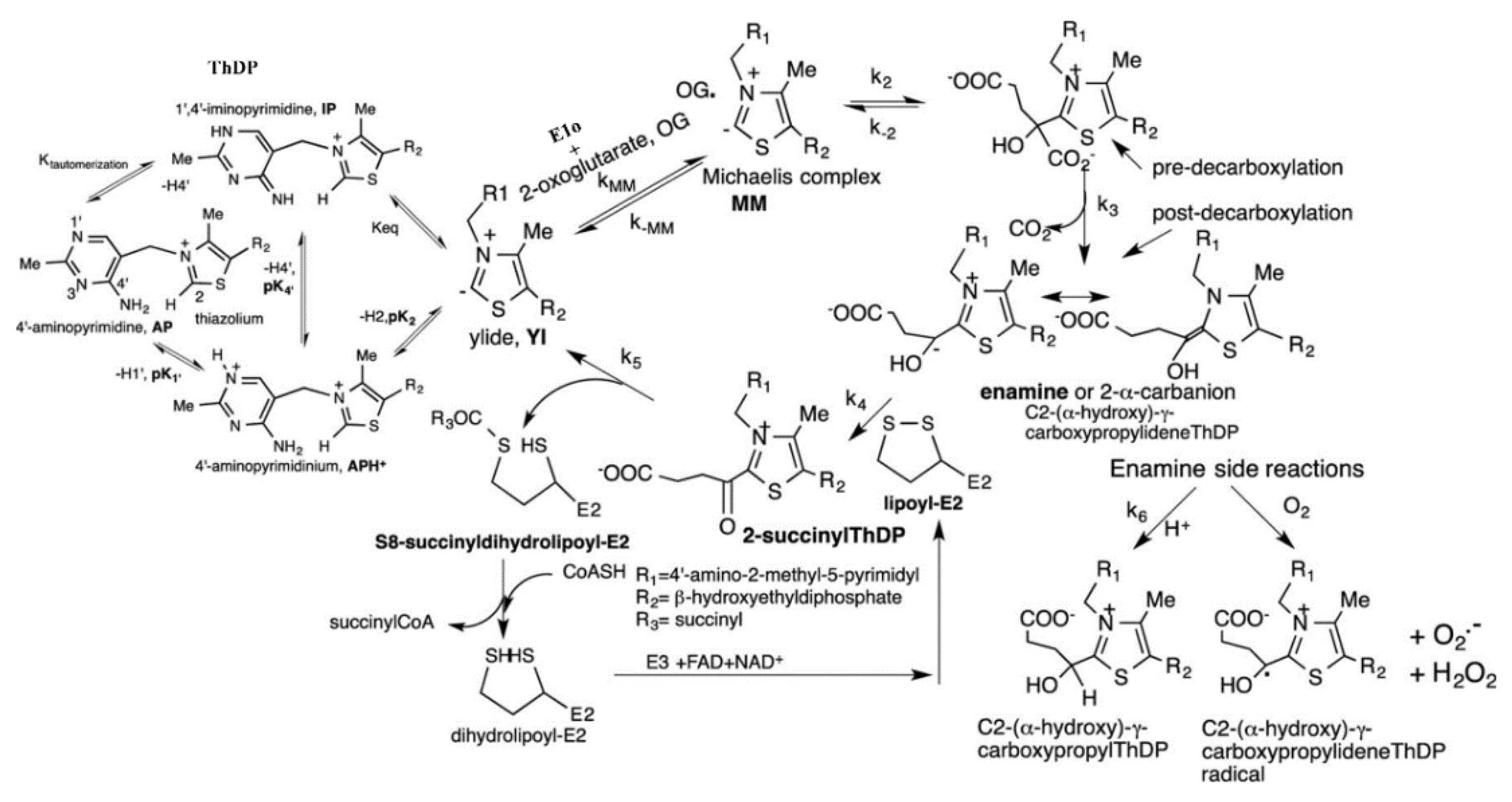 Reactions 03 00011 sch001