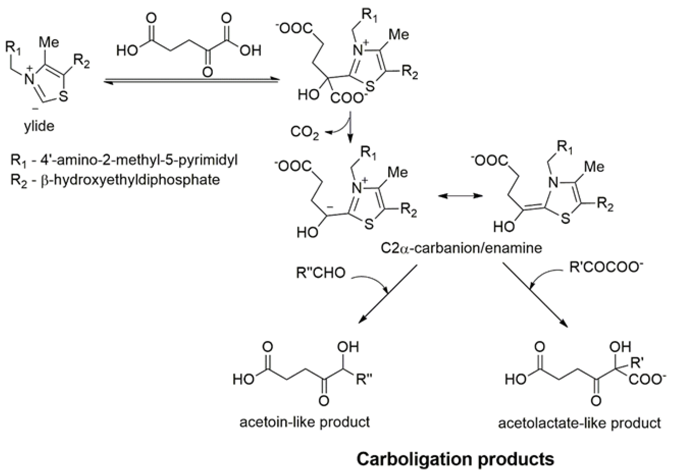 Reactions 03 00011 sch002