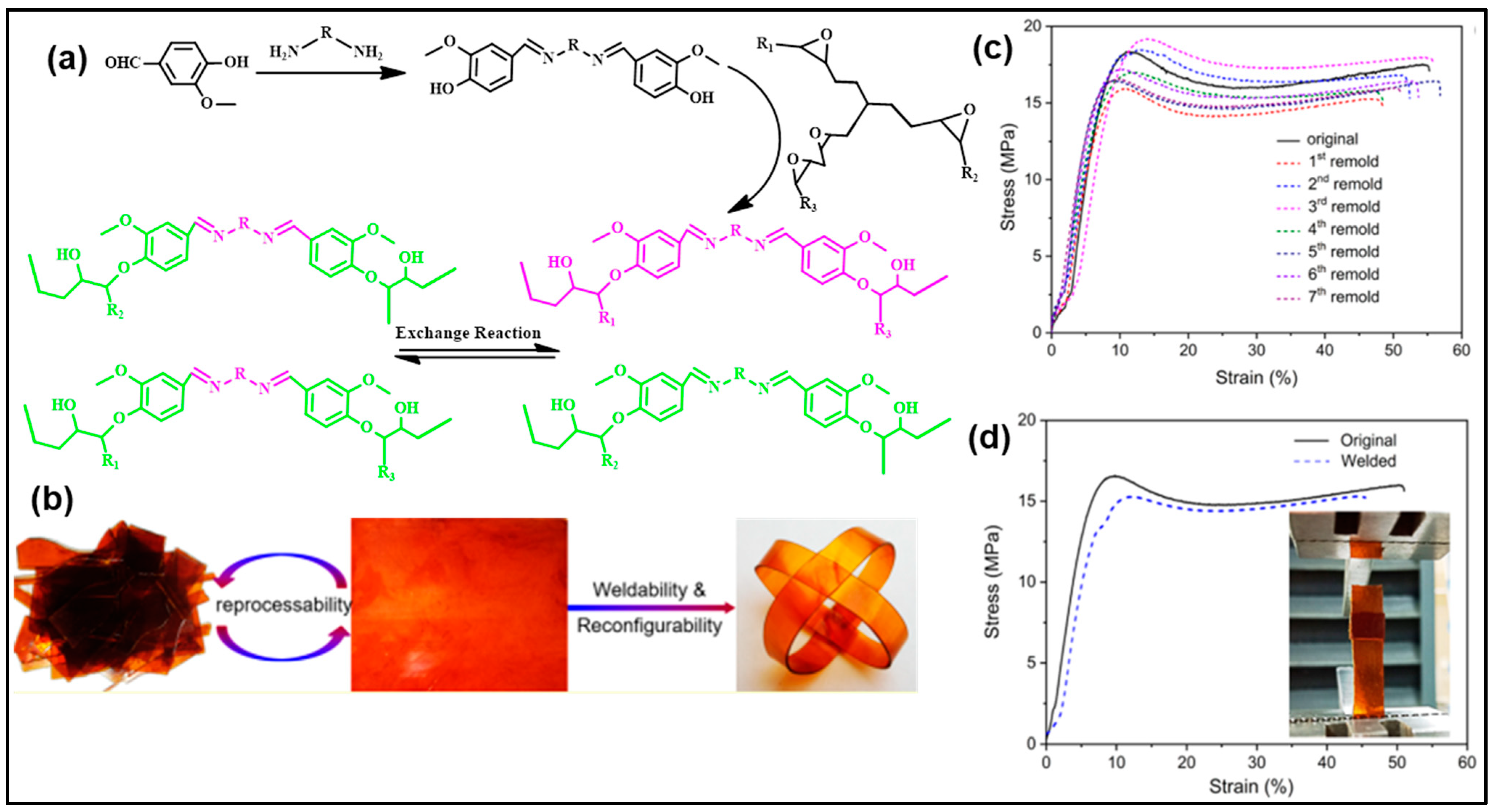 Reactions 04 00003 g017