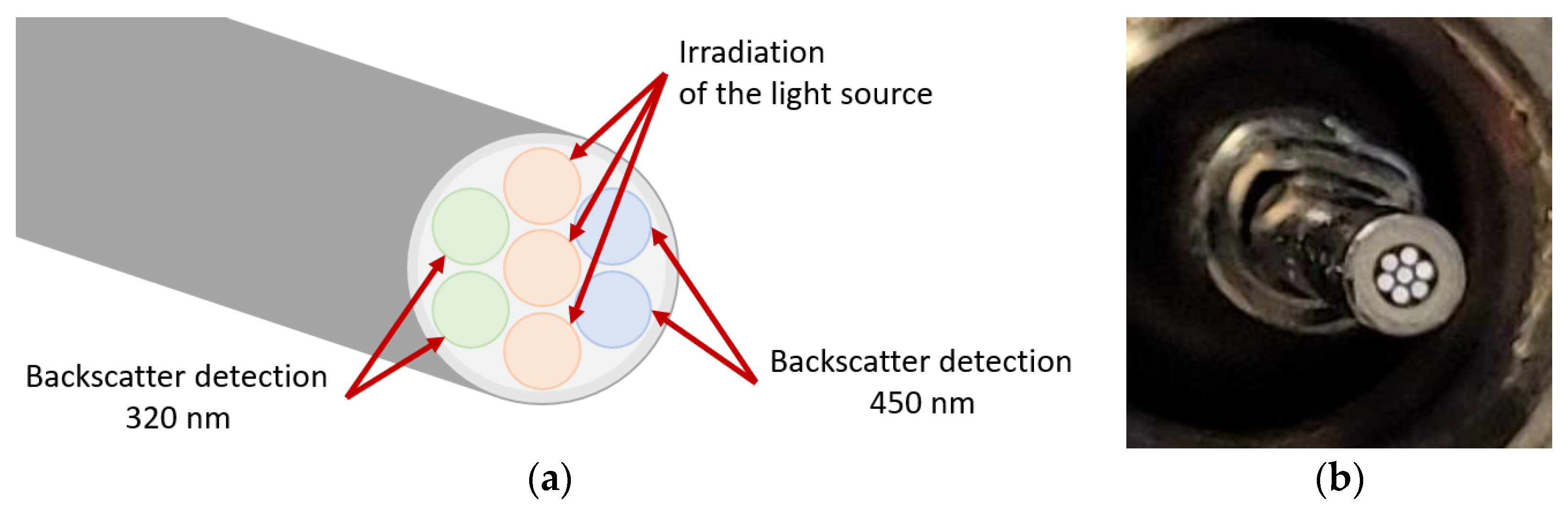 Reactions 04 00011 g001