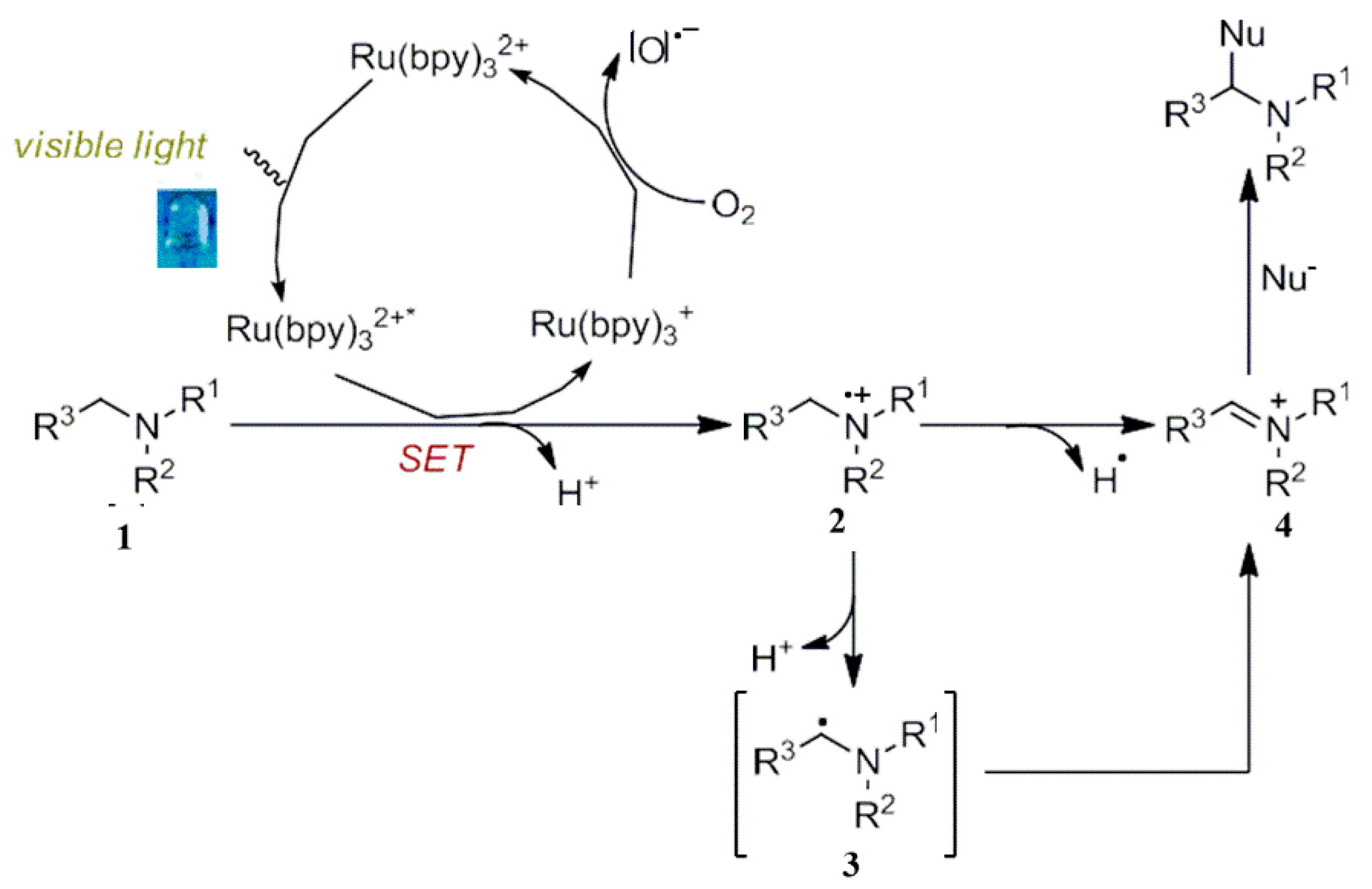Reactions 04 00012 sch004
