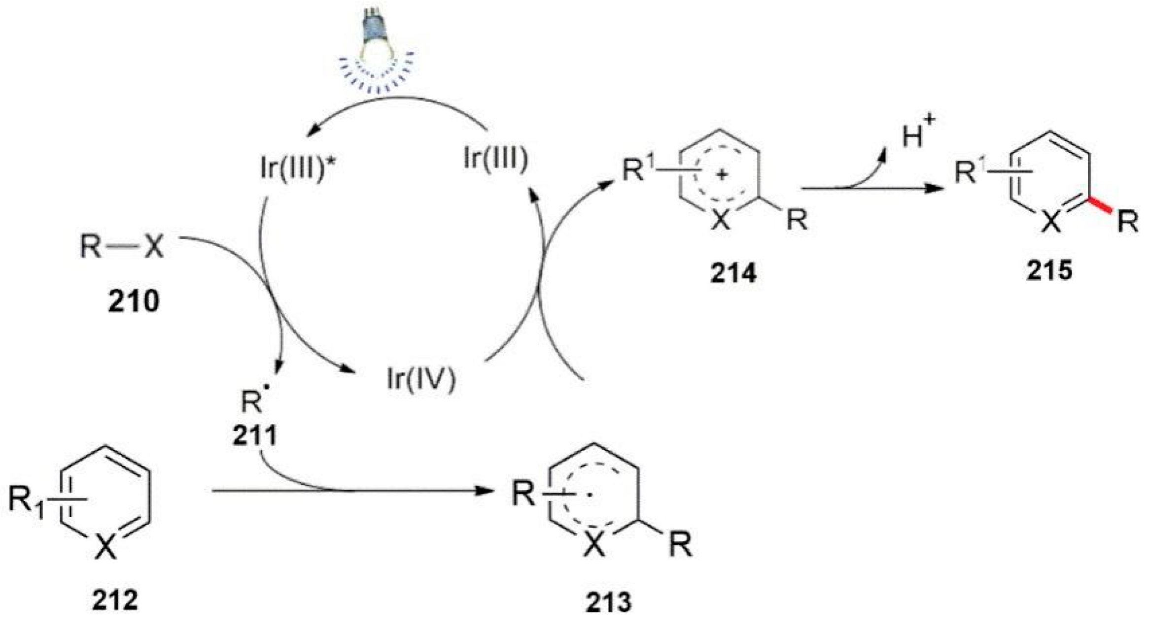 Reactions 04 00012 sch056