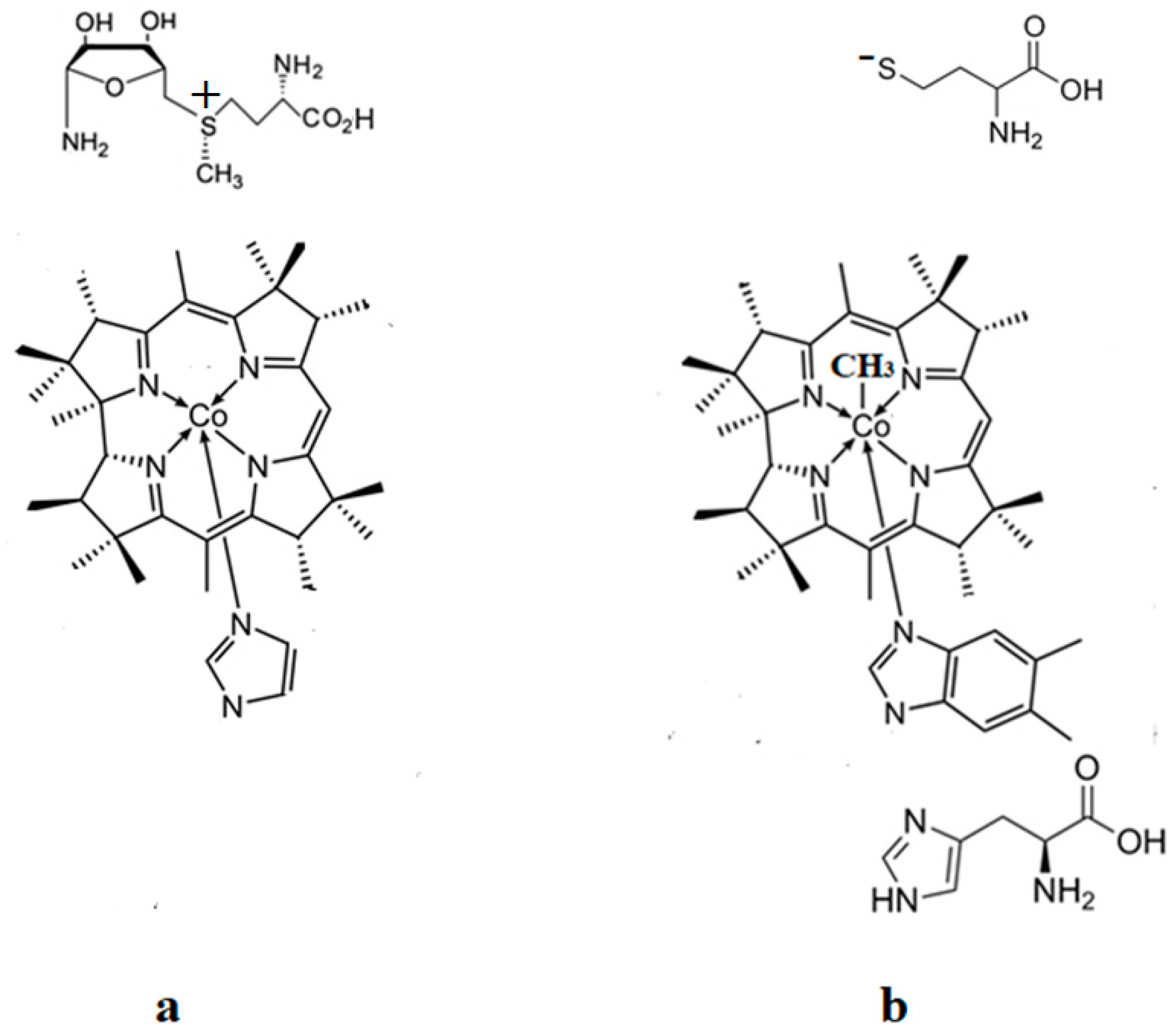 Reactions 04 00016 g004
