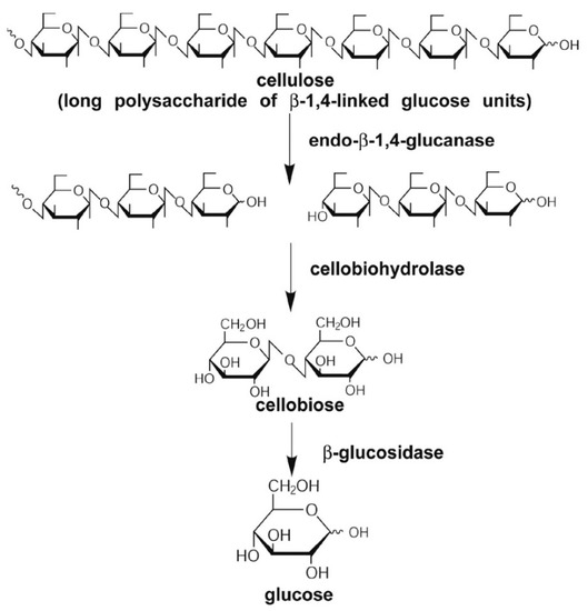 Reactions 04 00018 g003