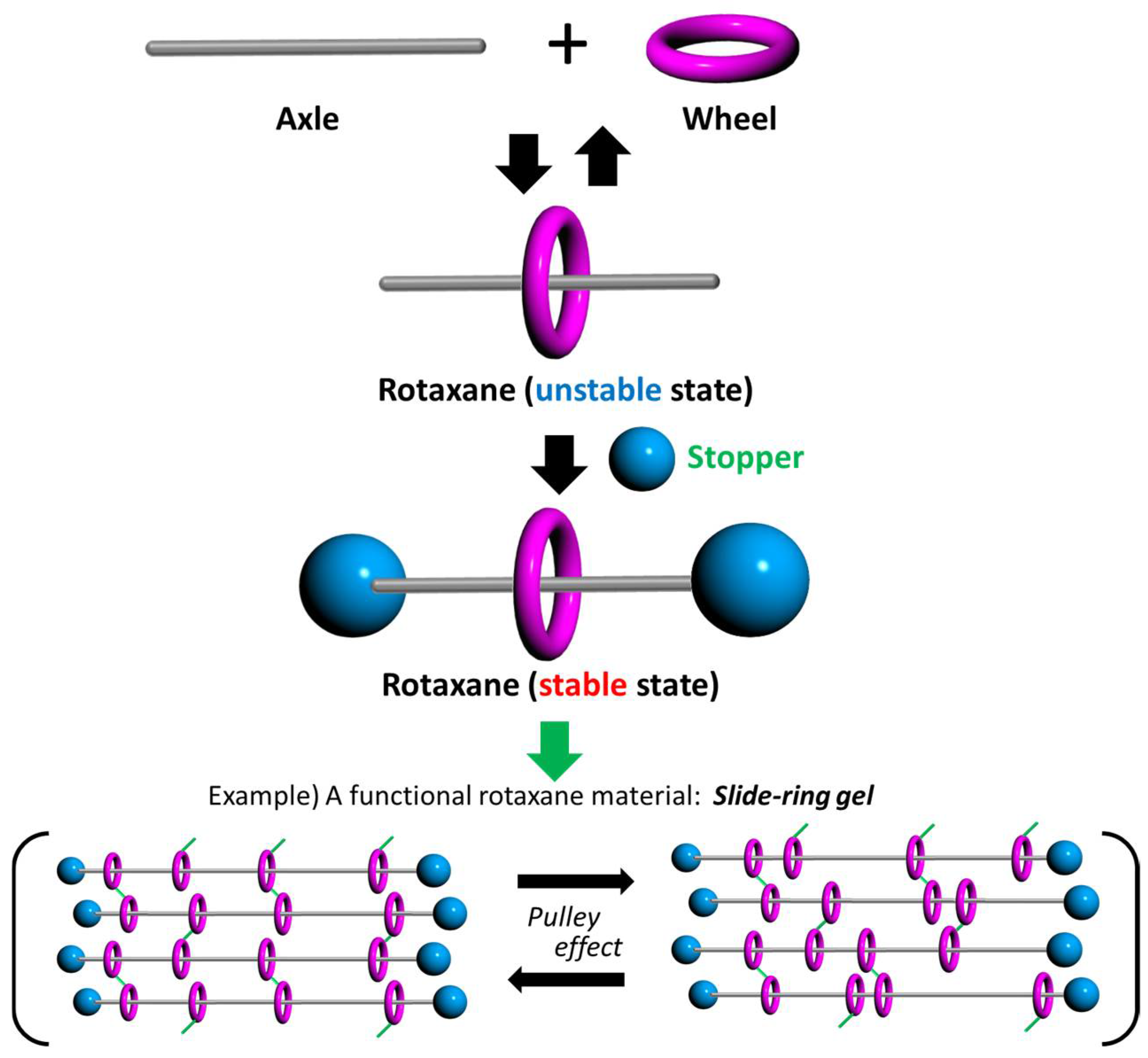 One-Pot Synthesis of Stable Poly([c2]Daisy–chain Rotaxane) with Pseudo ...
