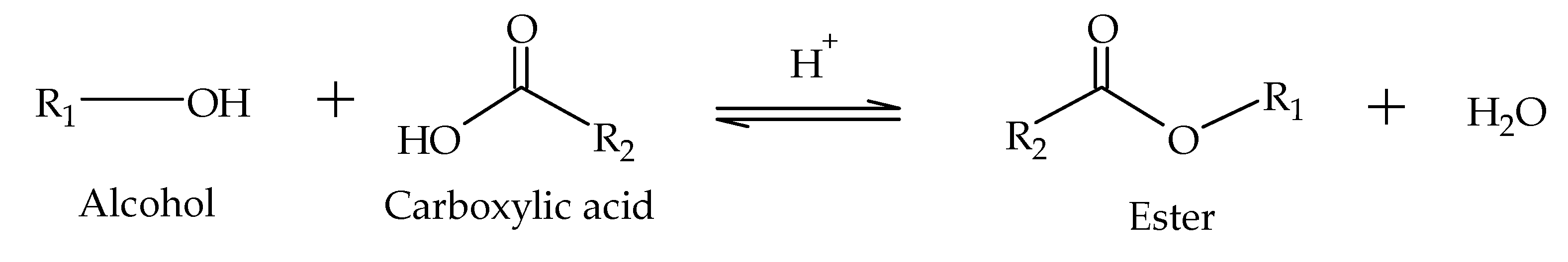 Reactions 04 00034 sch008