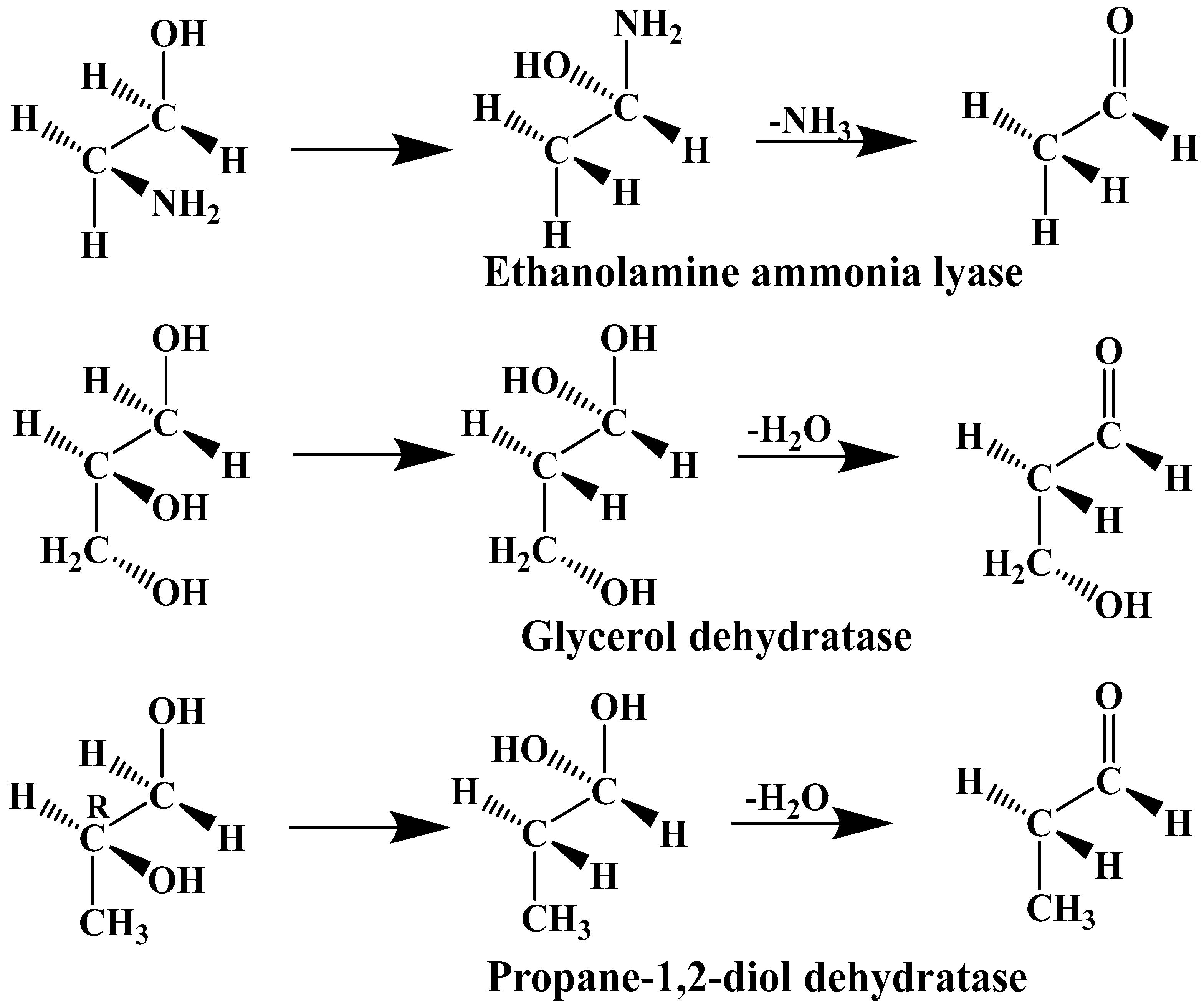 Reactions 05 00002 g005 Reactions 05 00002 g005