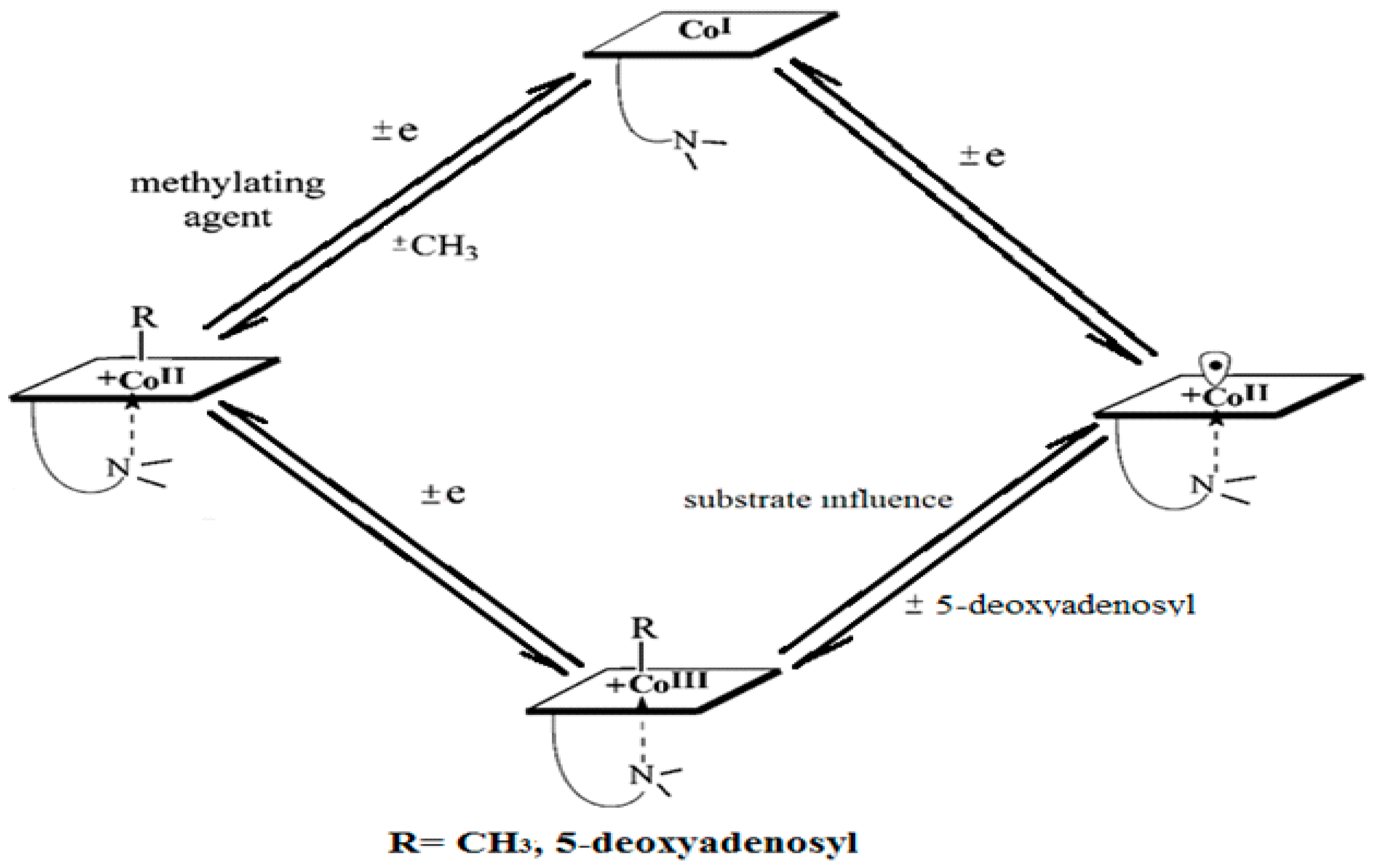 Reactions 05 00002 g006 Reactions 05 00002 g006