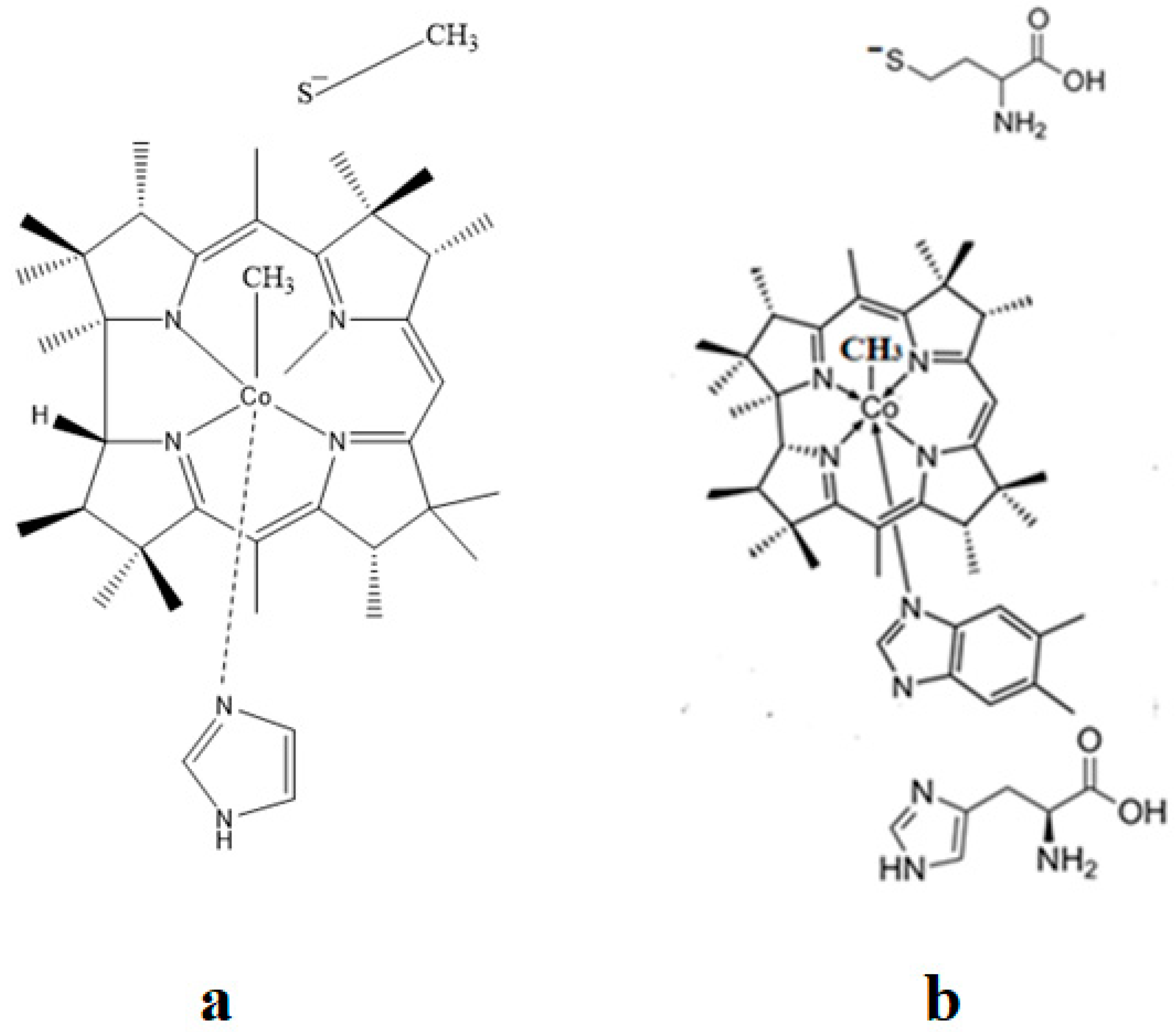 Reactions 05 00002 g012 Reactions 05 00002 g012